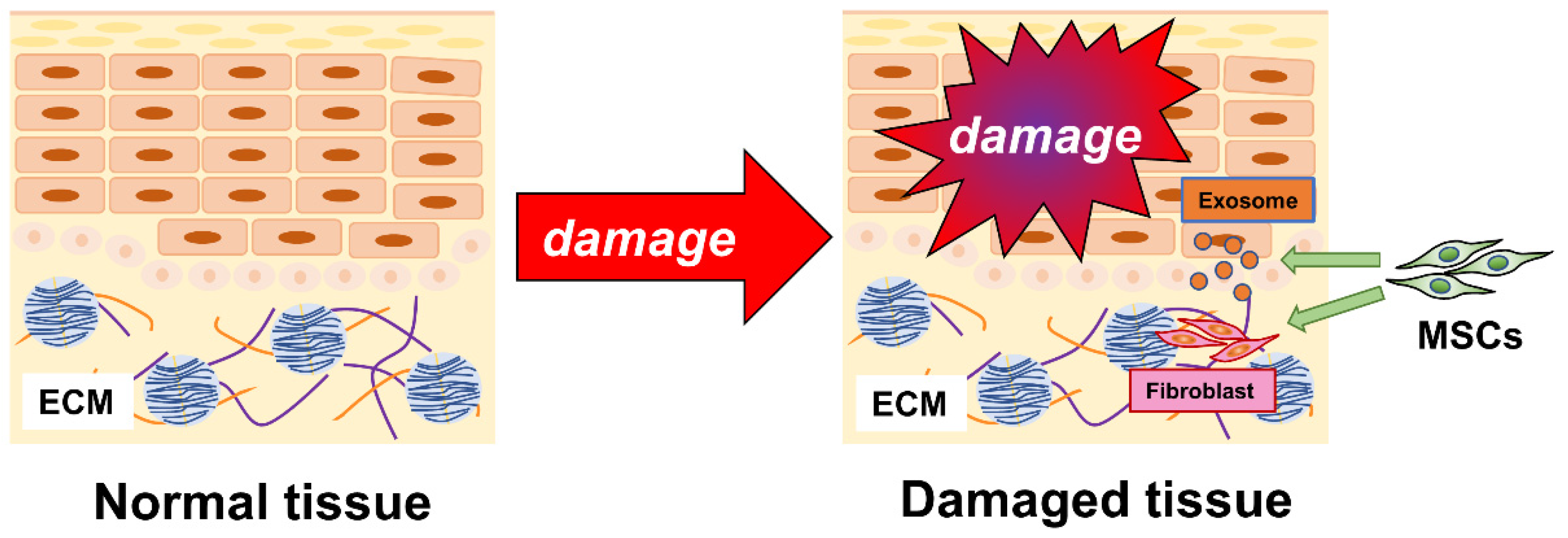Biomedicines 10 01391 g001