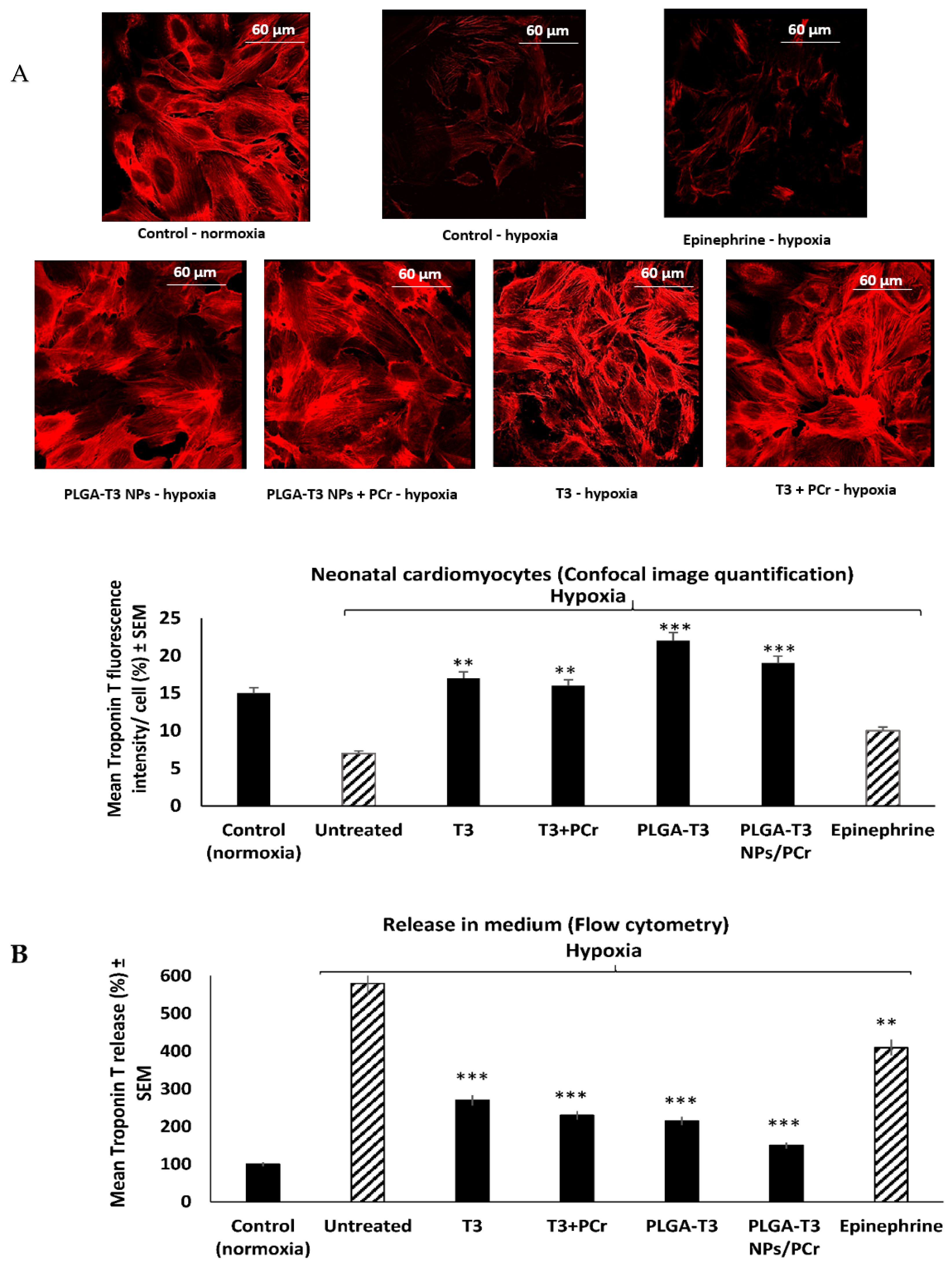 Biomedicines 10 01395 g001 Biomedicines 10 01395 g001