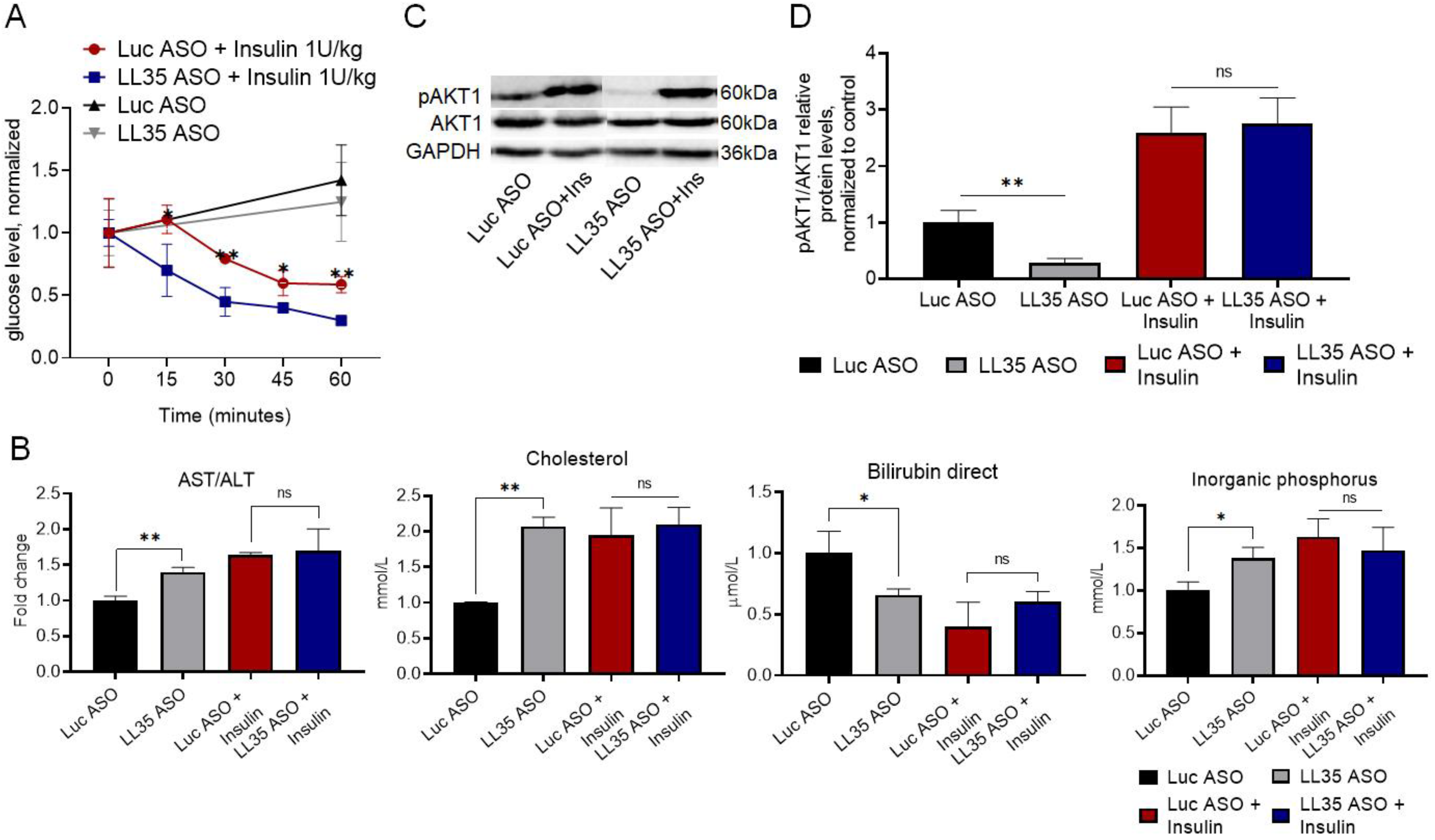 Biomedicines 10 01397 g006