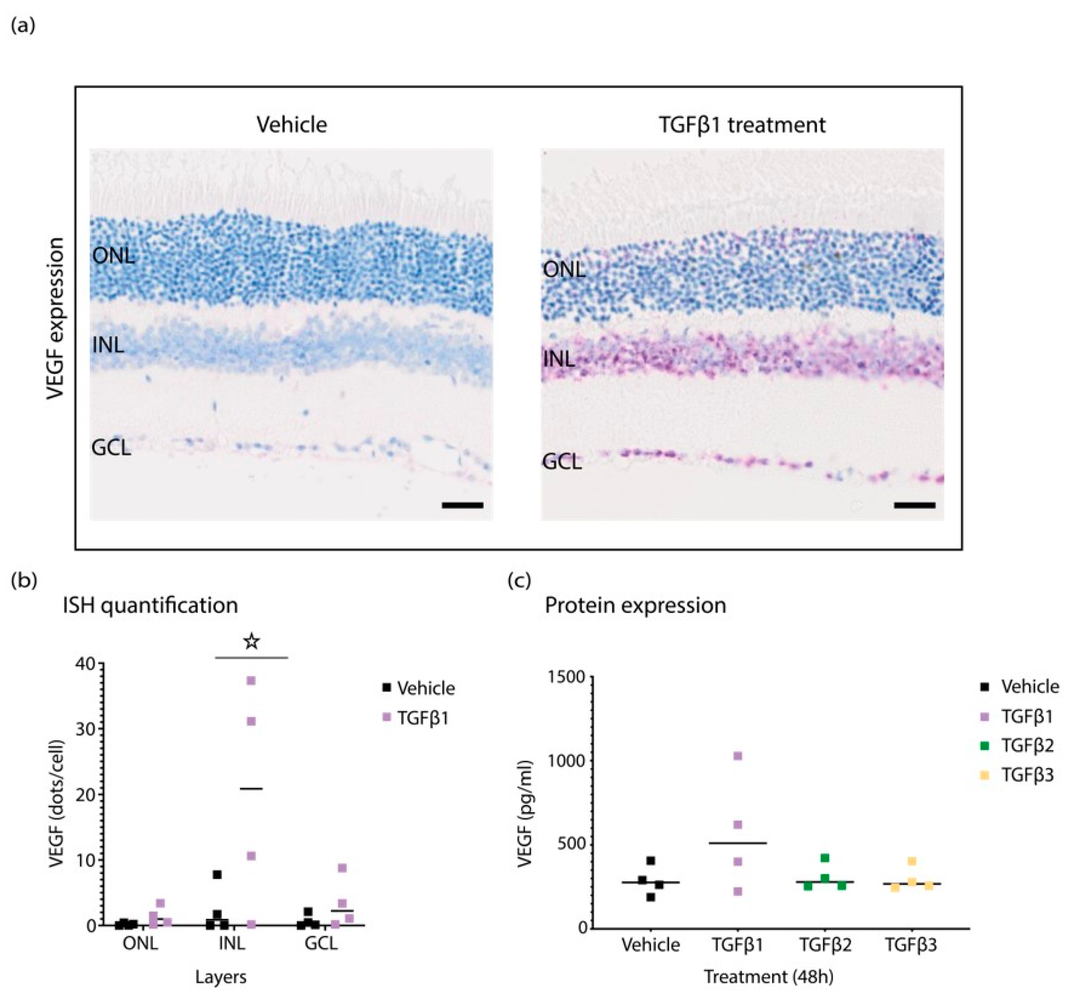 Biomedicines 10 01404 g003 Biomedicines 10 01404 g003