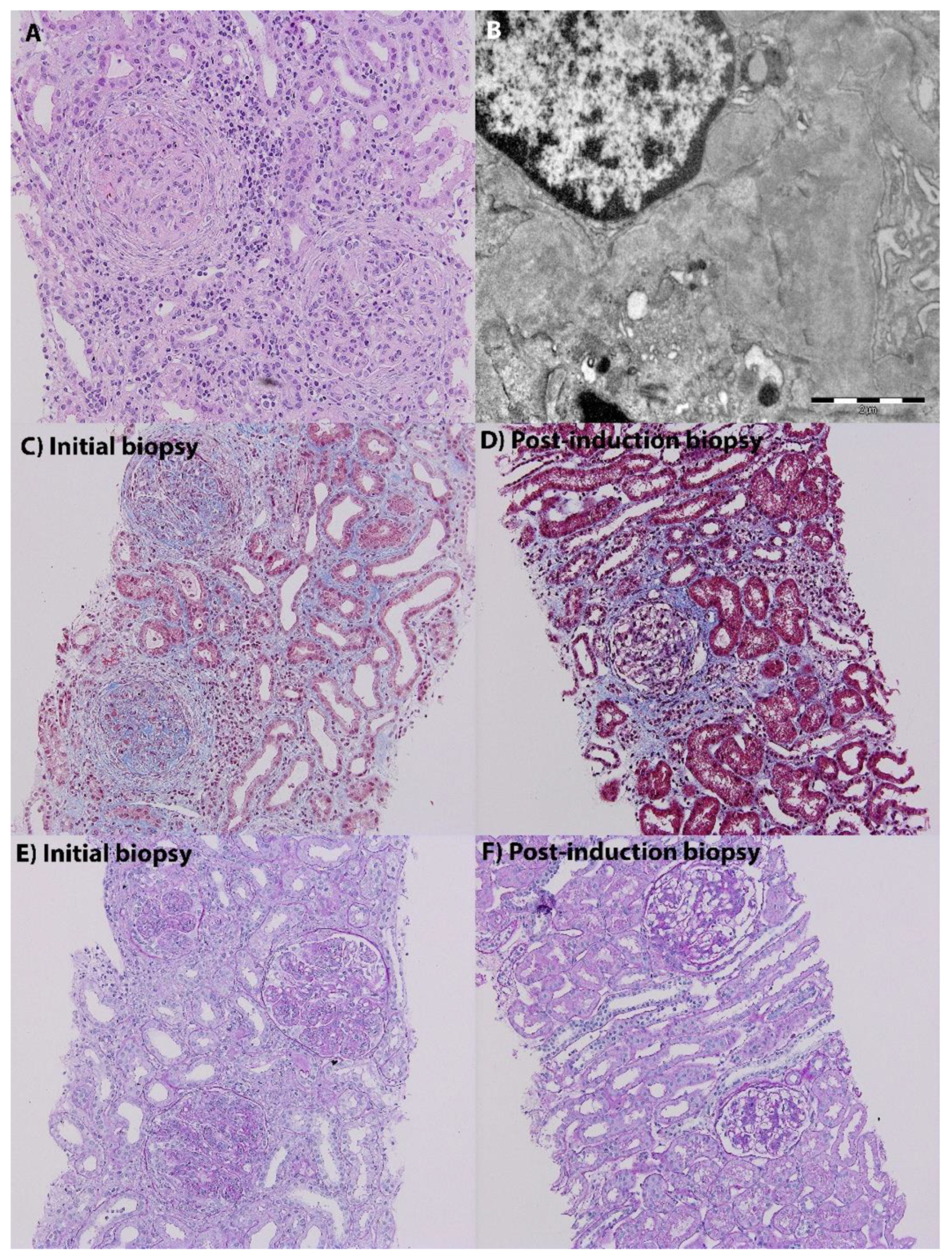 Biomedicines 10 01409 g001 Biomedicines 10 01409 g001