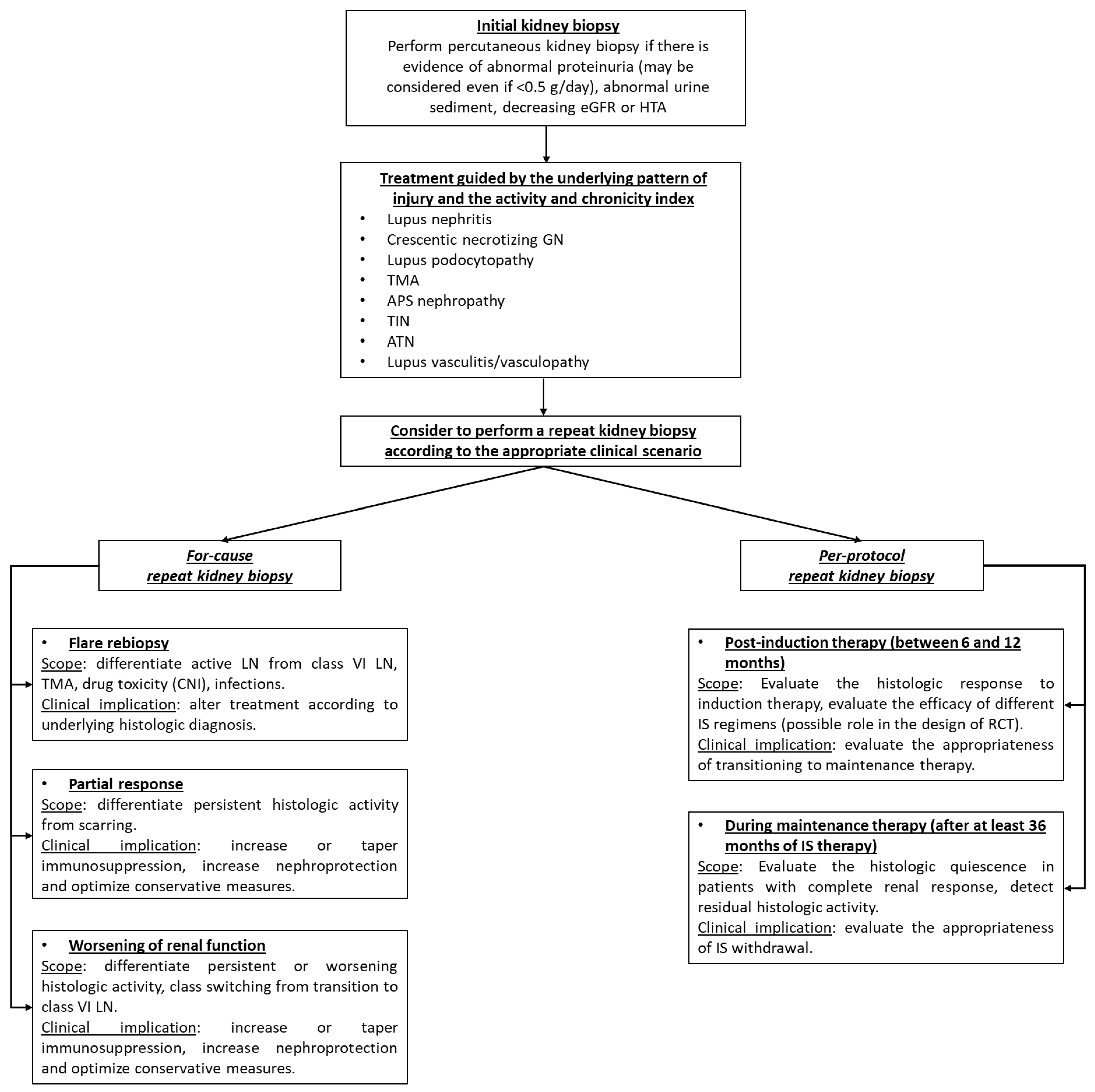 Biomedicines 10 01409 g002 Biomedicines 10 01409 g002