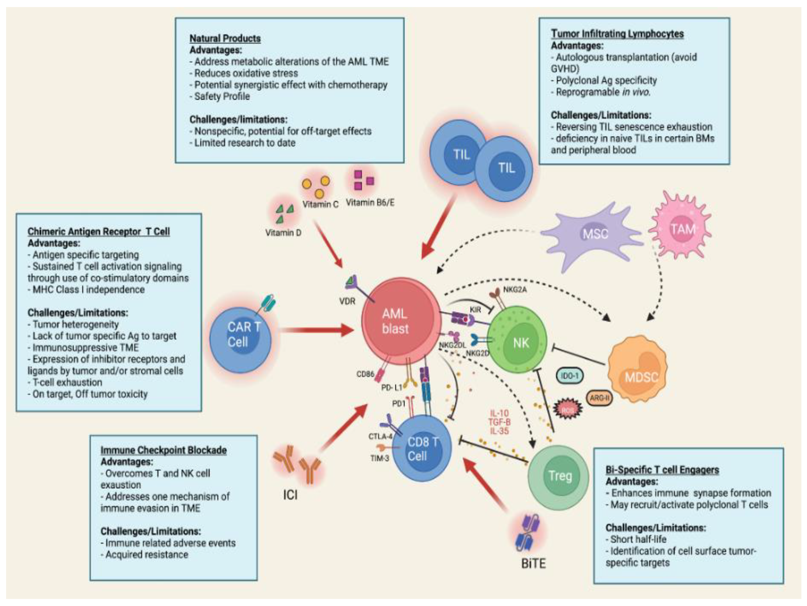 Biomedicines 10 01410 g001
