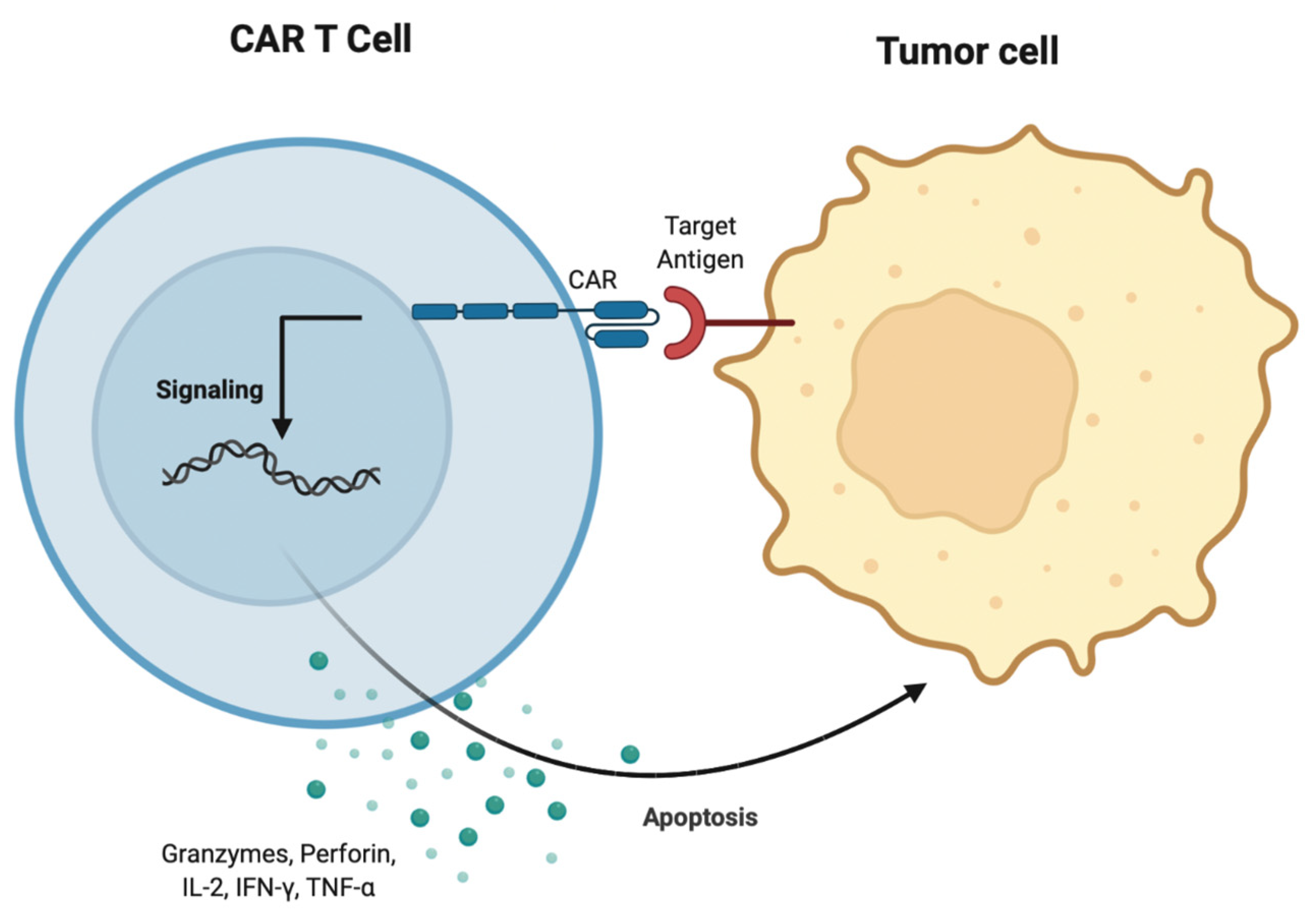 Biomedicines 10 01410 g004