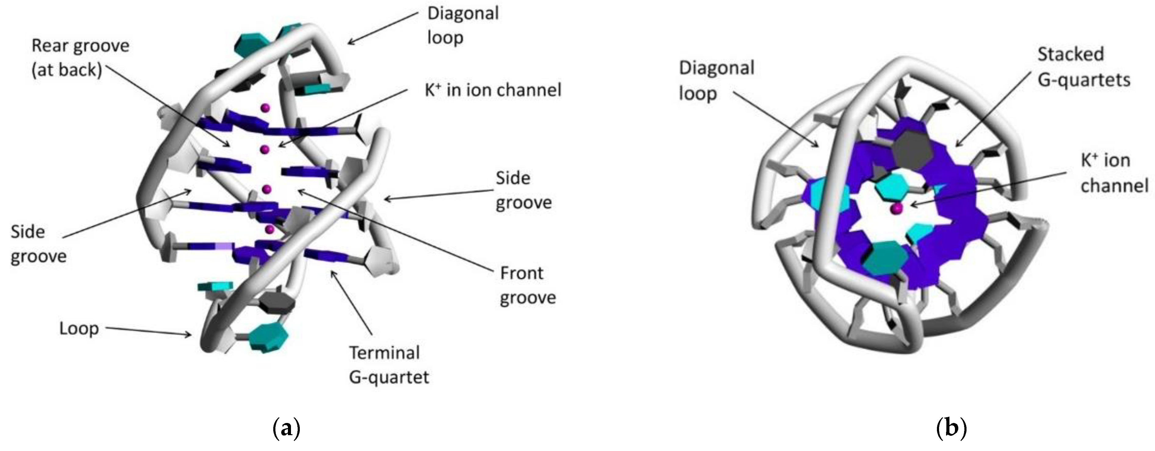 Biomedicines 10 01417 g006