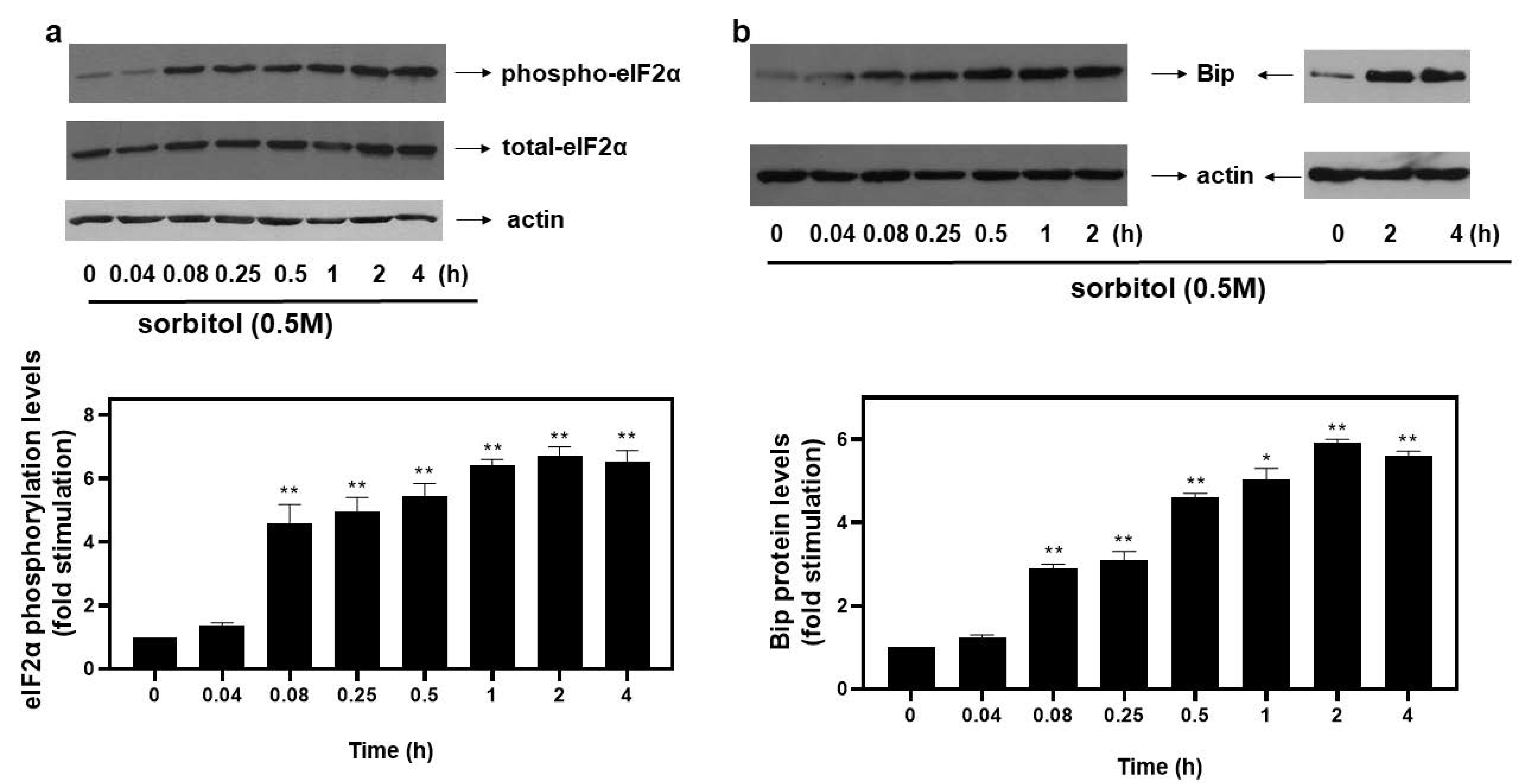 Biomedicines 10 01421 g001