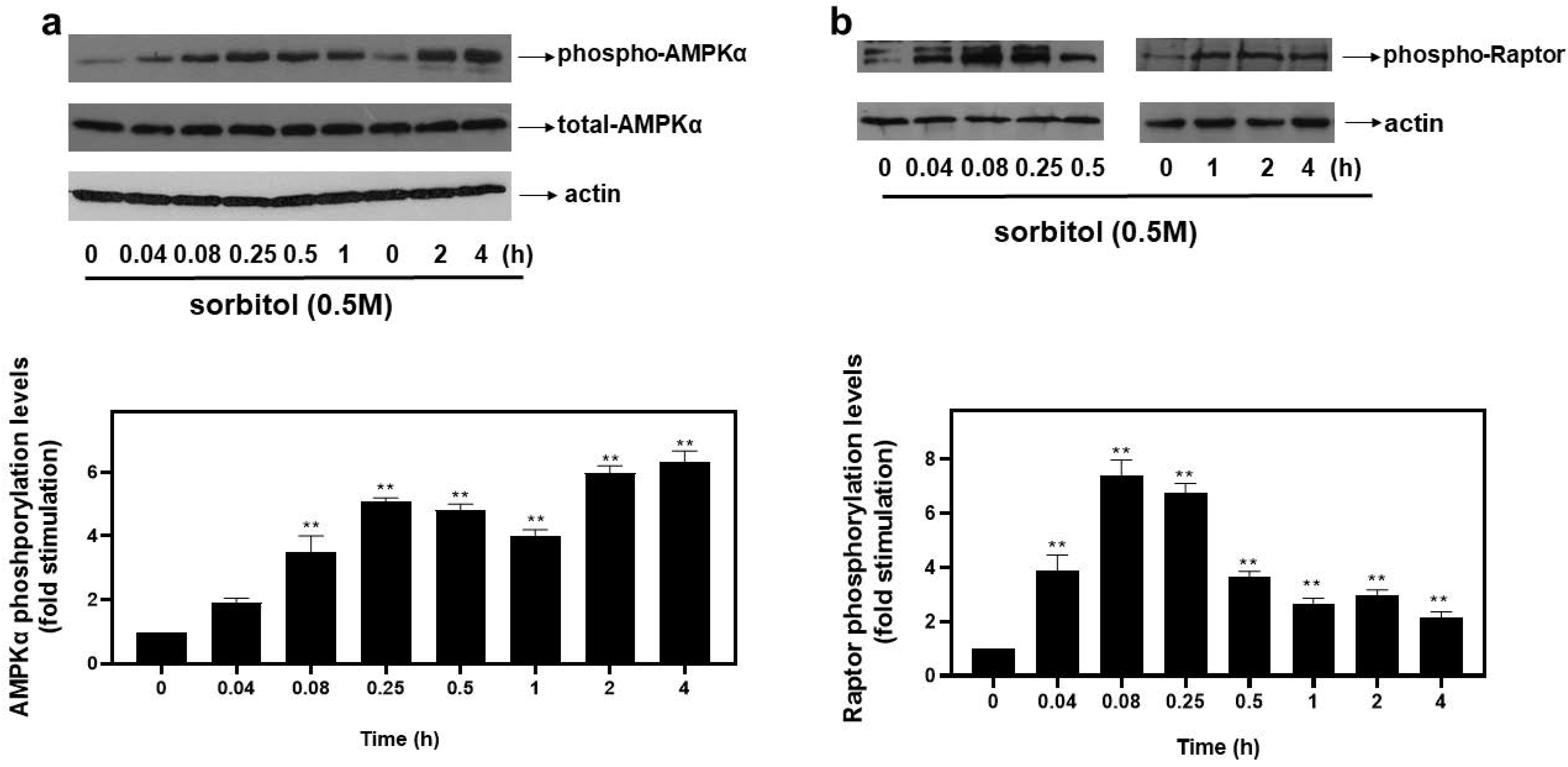Biomedicines 10 01421 g003