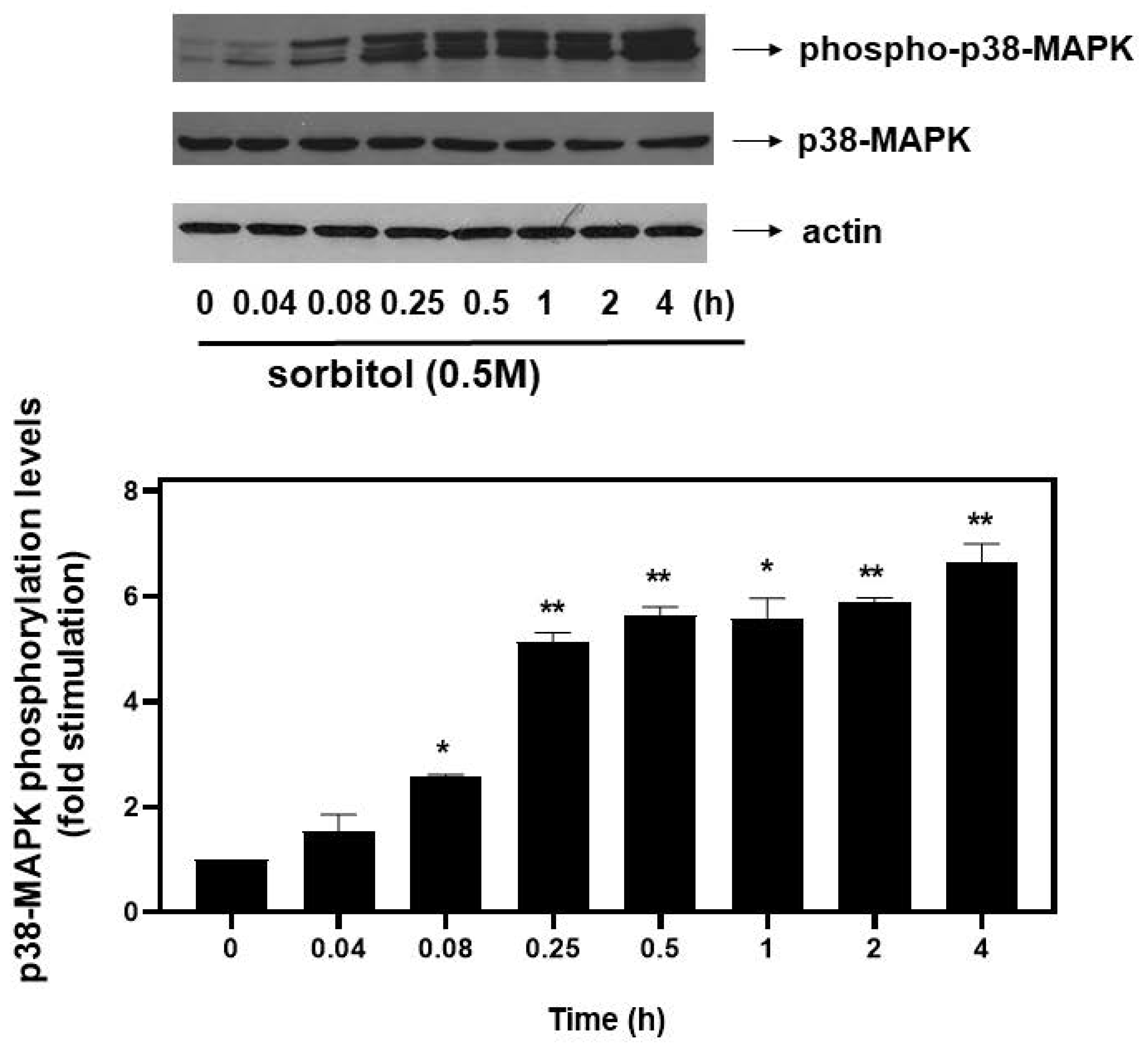 Biomedicines 10 01421 g004