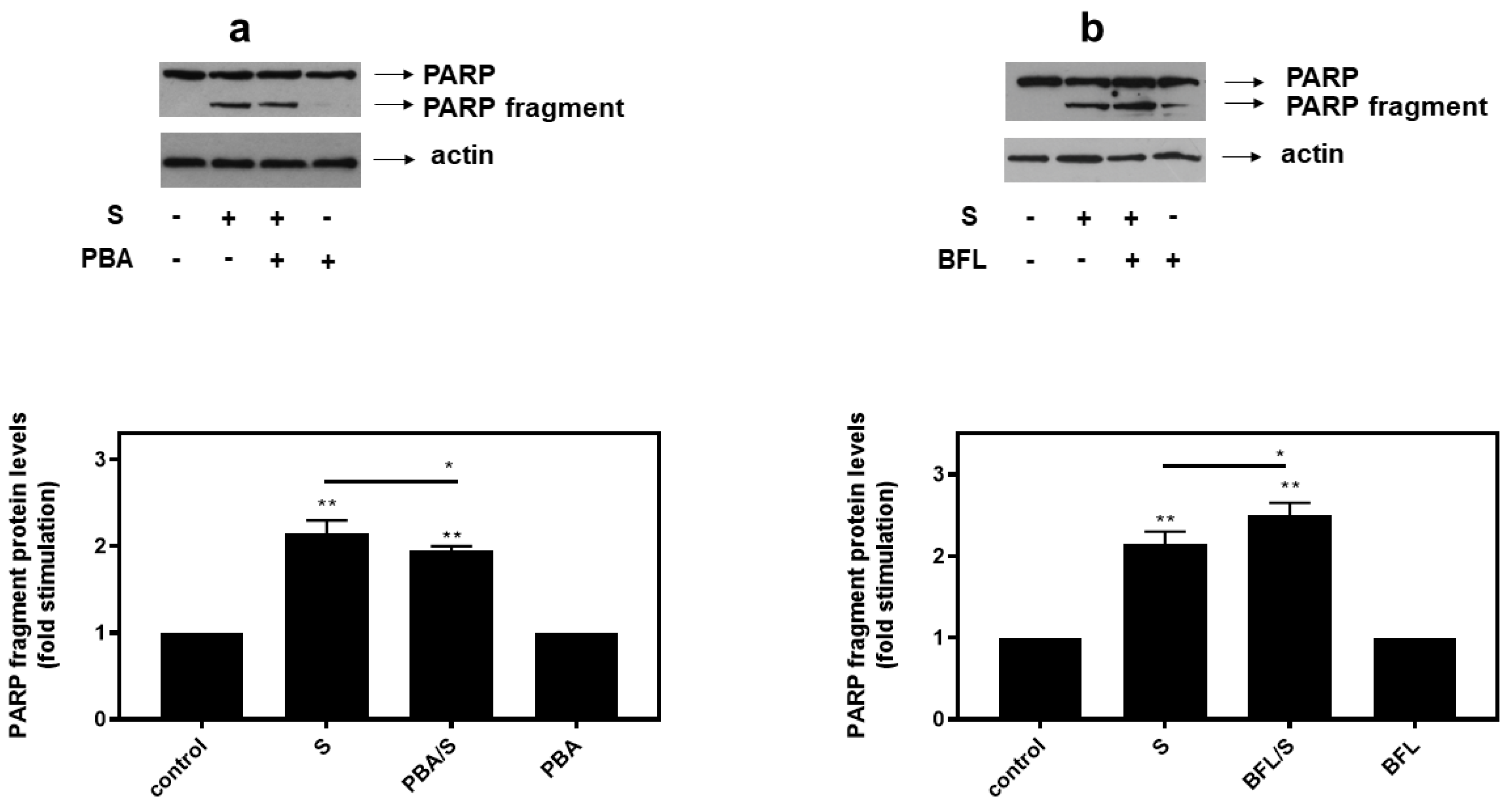 Biomedicines 10 01421 g011