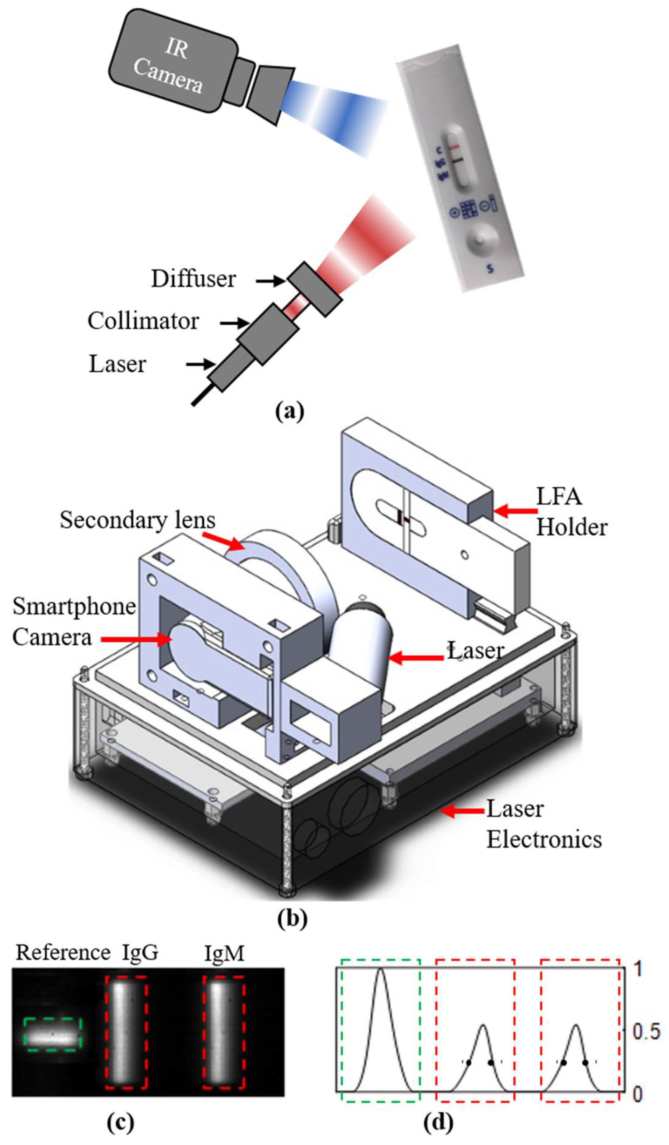 Biomedicines 10 01424 g001