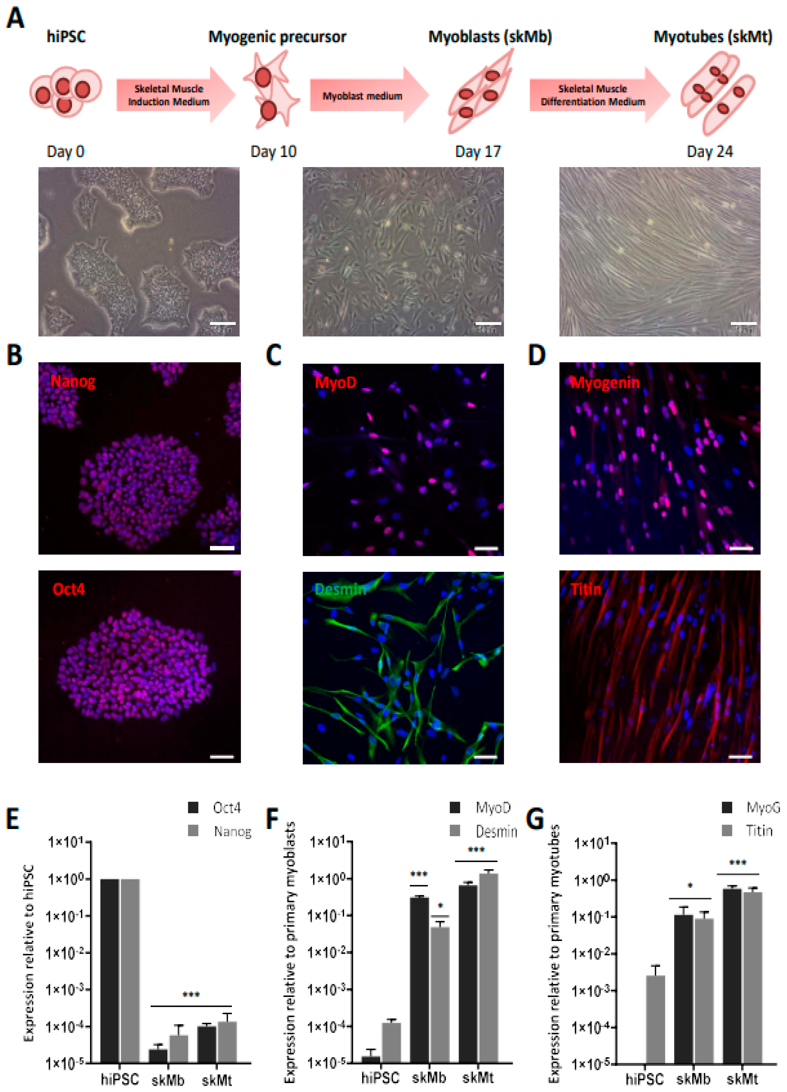 Biomedicines 10 01428 g001