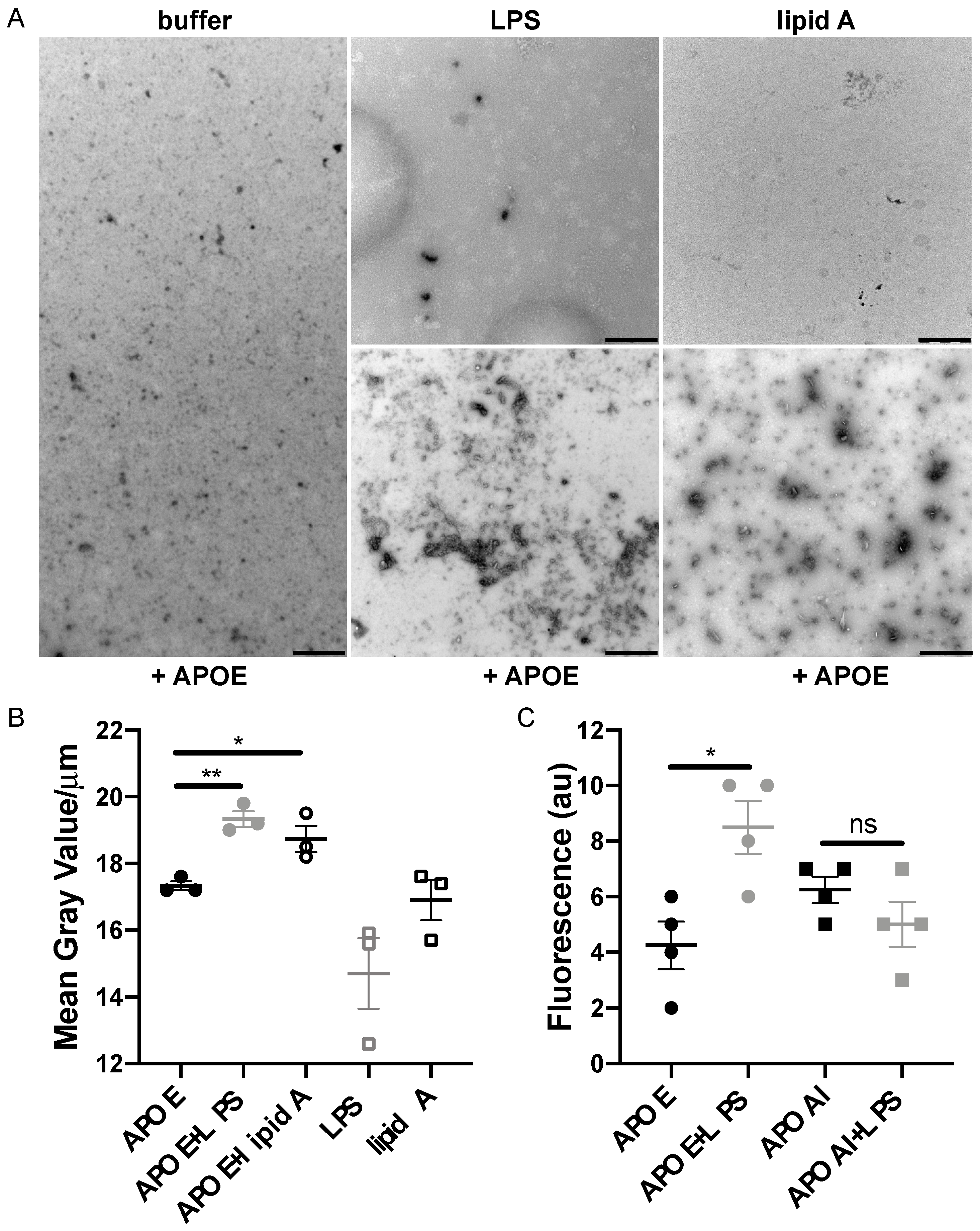 Biomedicines 10 01430 g004