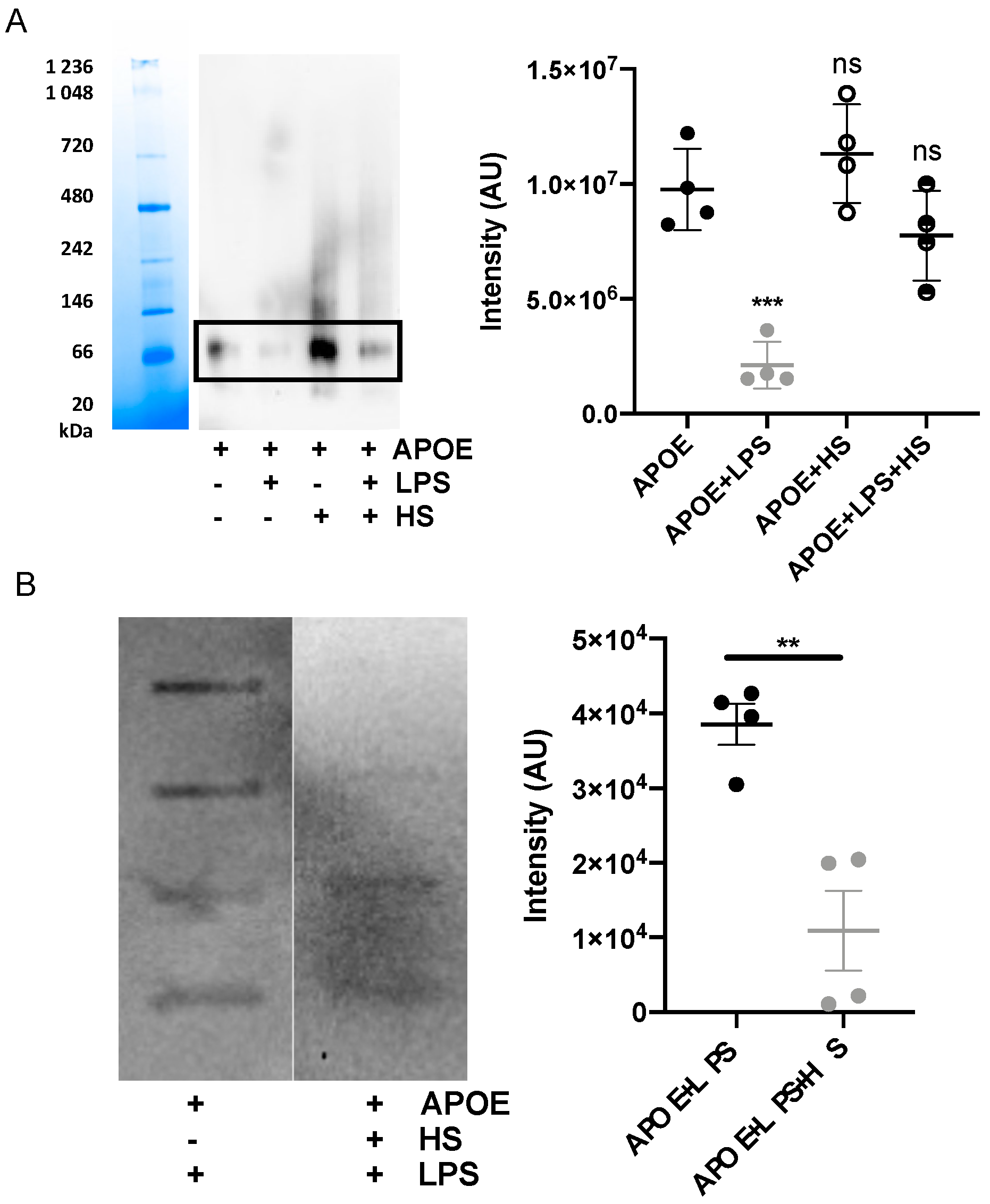 Biomedicines 10 01430 g005