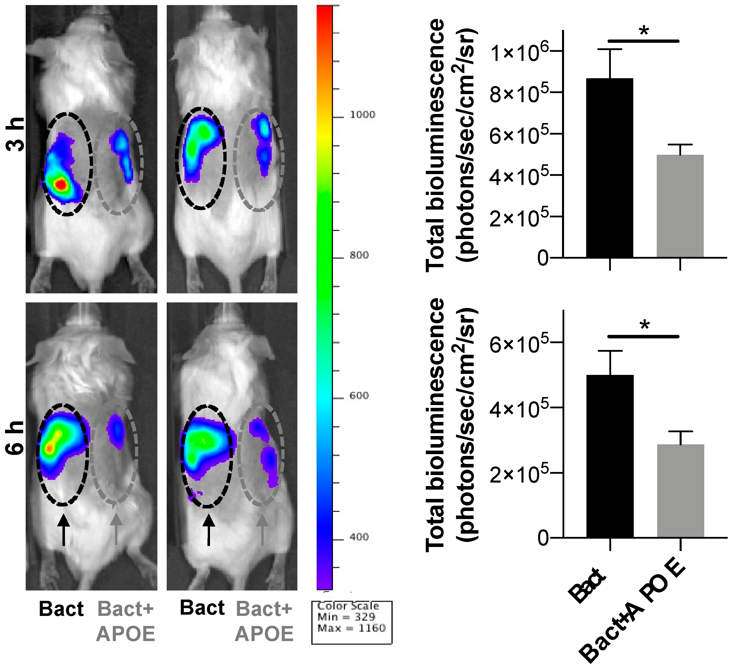 Biomedicines 10 01430 g008