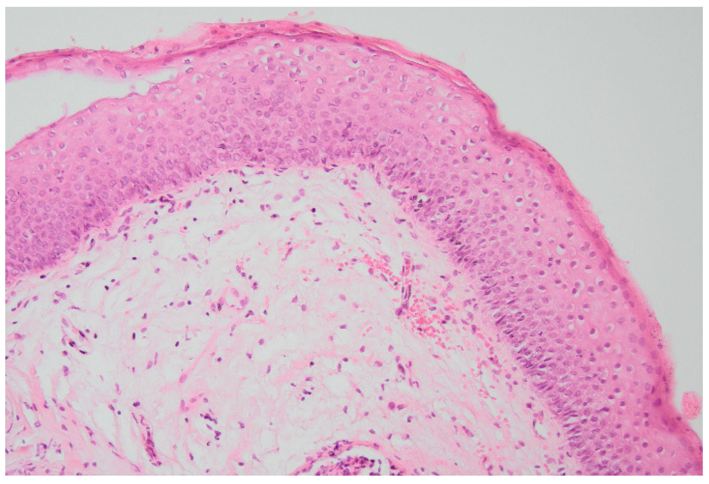 Biomedicines 10 01435 g001