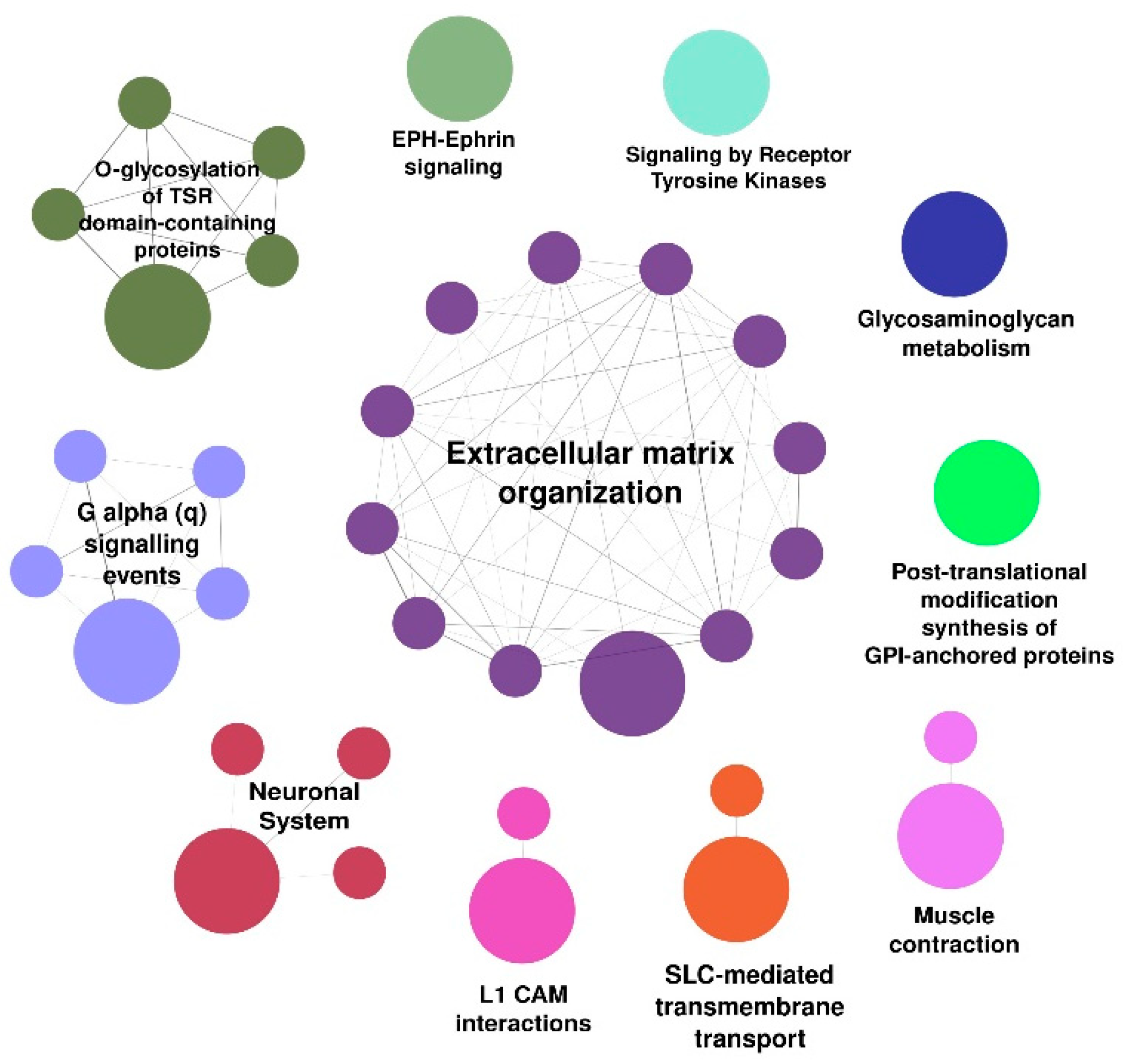 Biomedicines 10 01435 g003