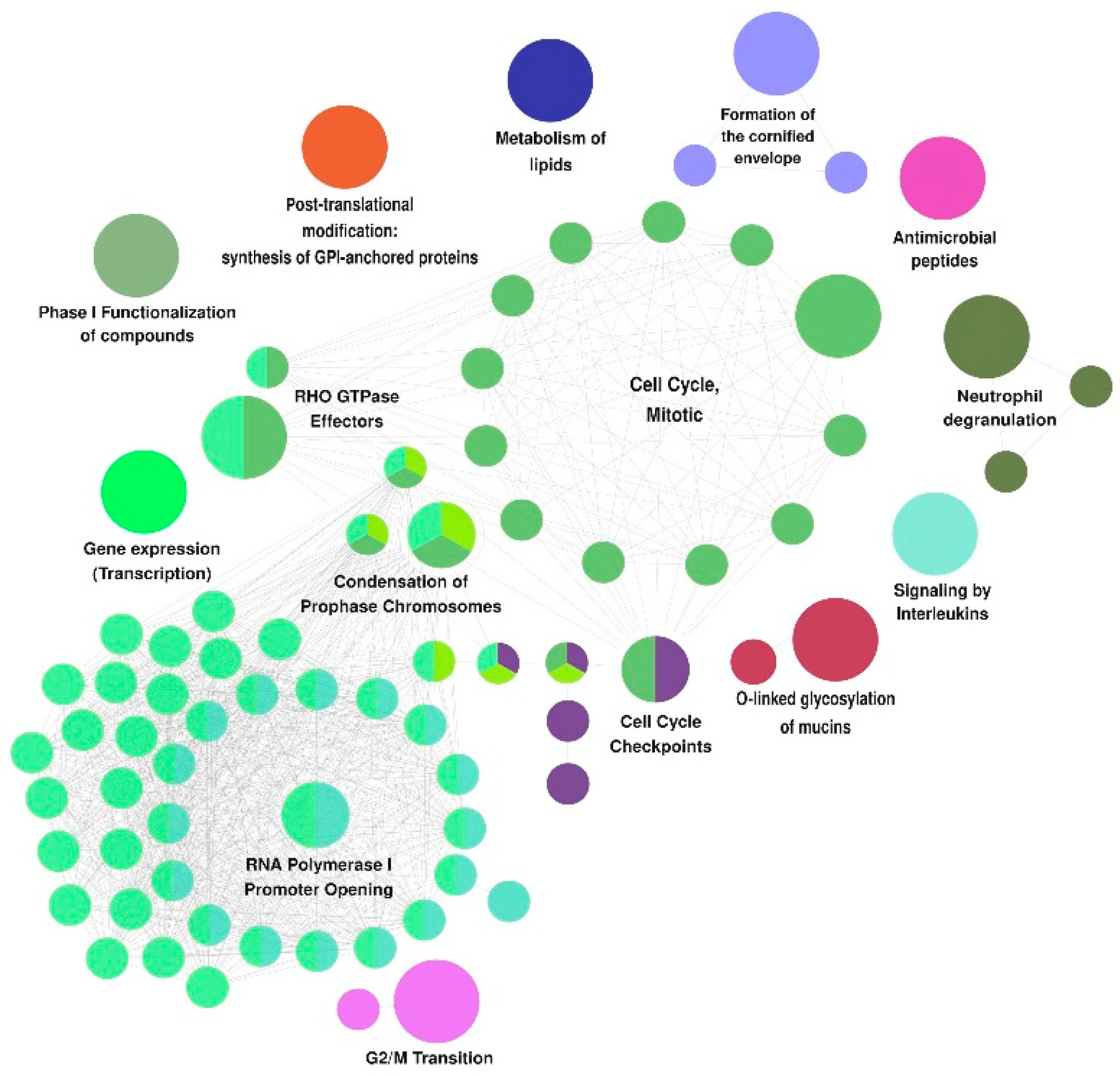 Biomedicines 10 01435 g004