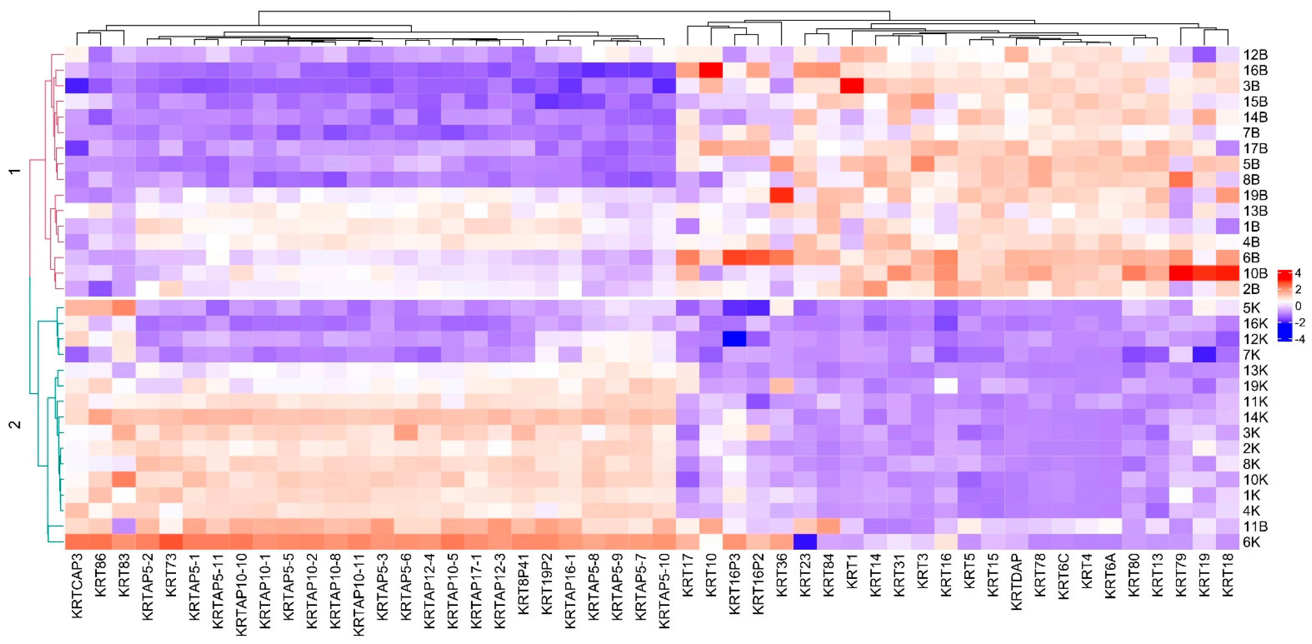 Biomedicines 10 01435 g005