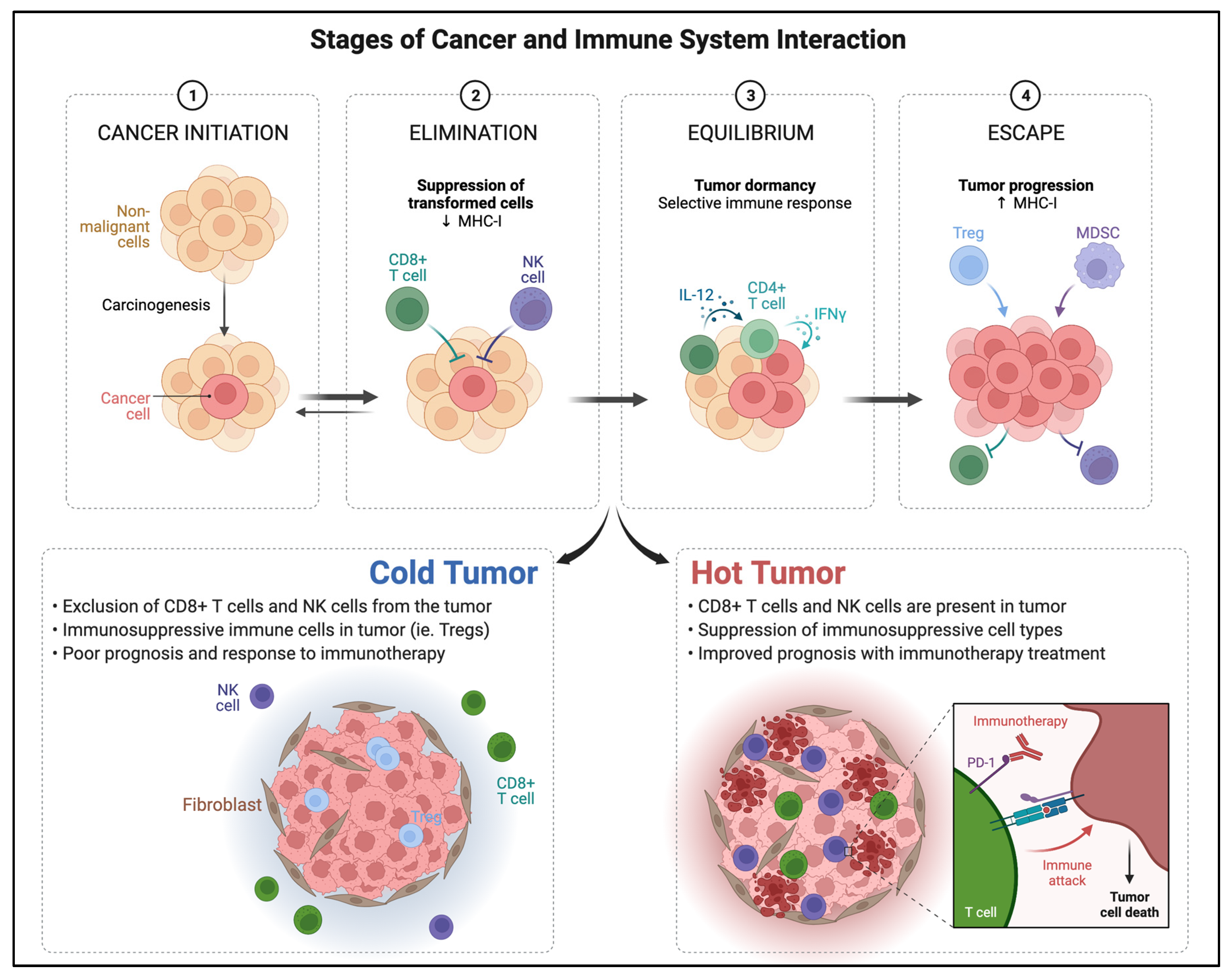 Biomedicines 10 01441 g002