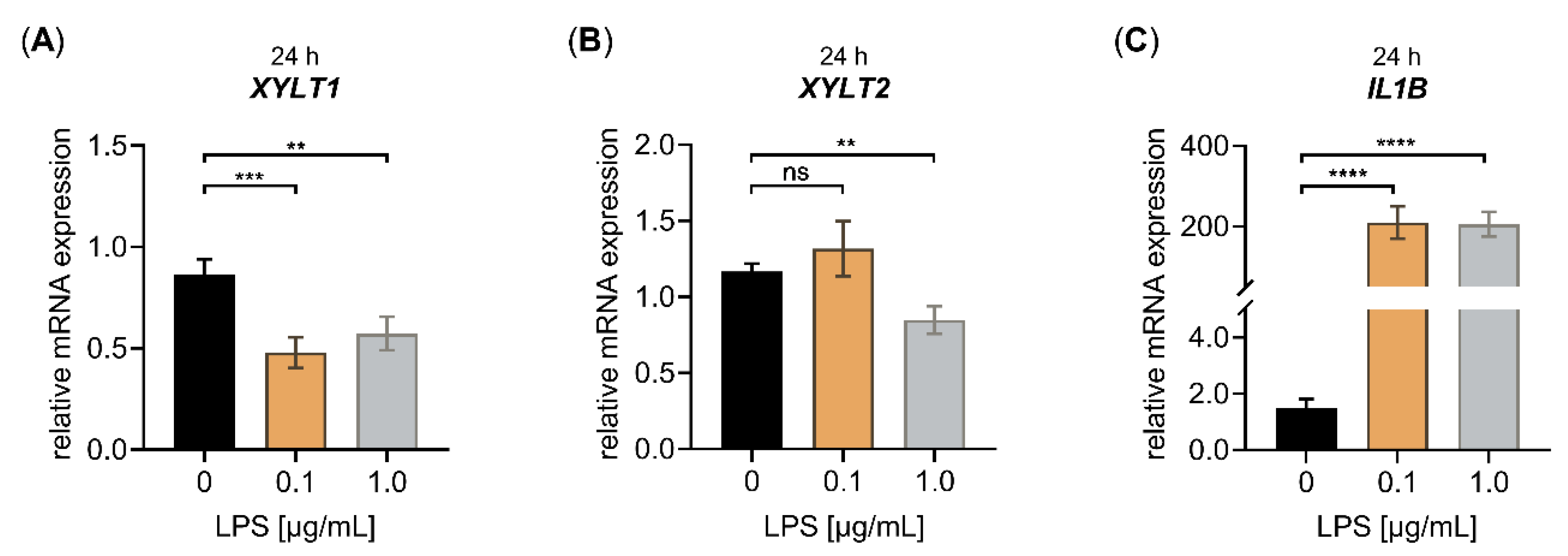 Biomedicines 10 01451 g001