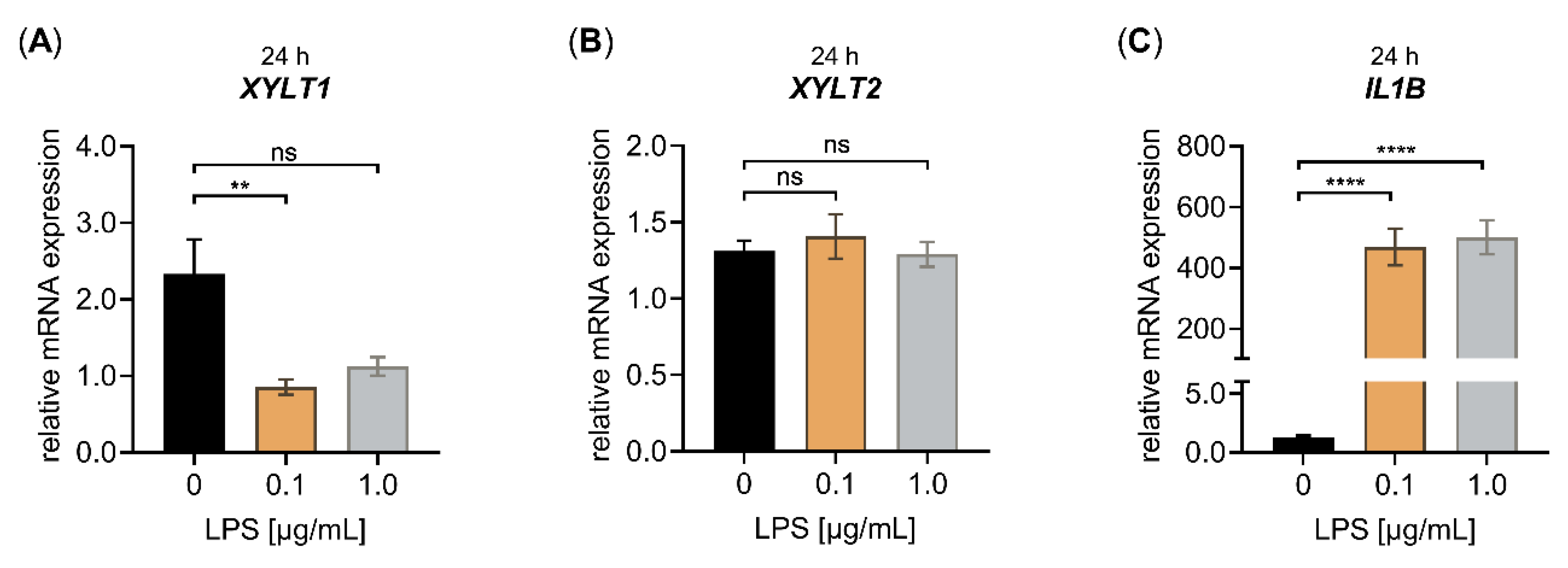 Biomedicines 10 01451 g002