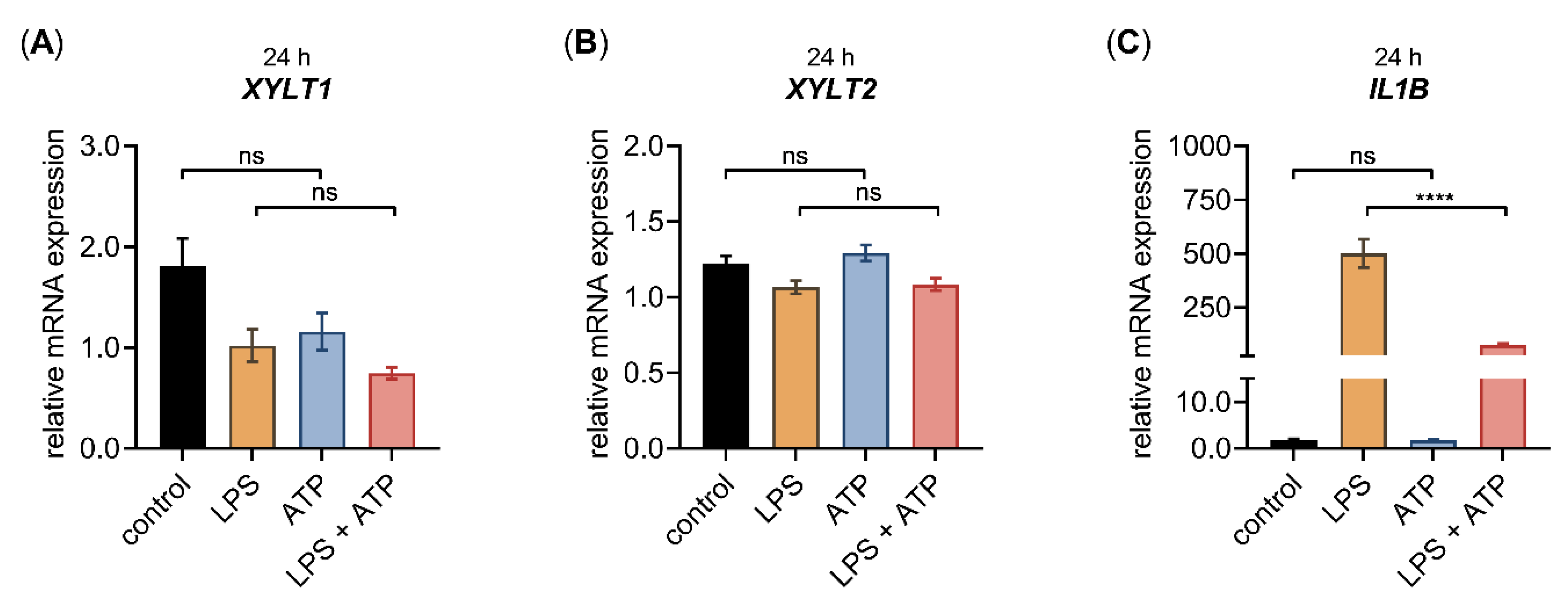 Biomedicines 10 01451 g003