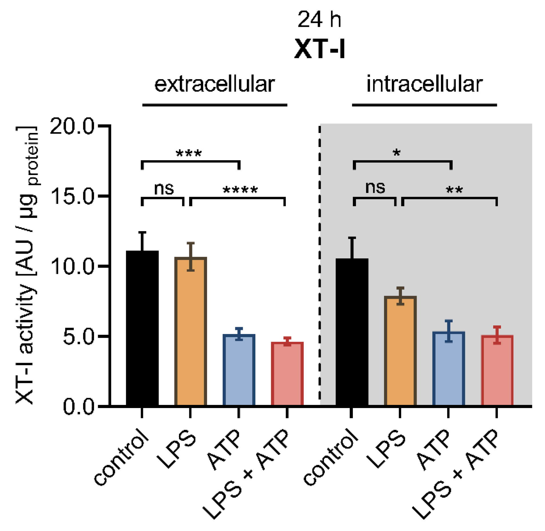 Biomedicines 10 01451 g004