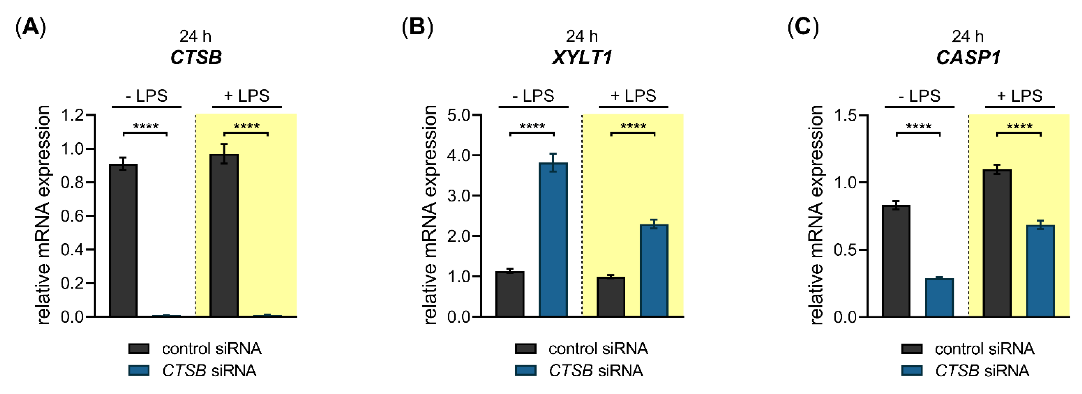 Biomedicines 10 01451 g006