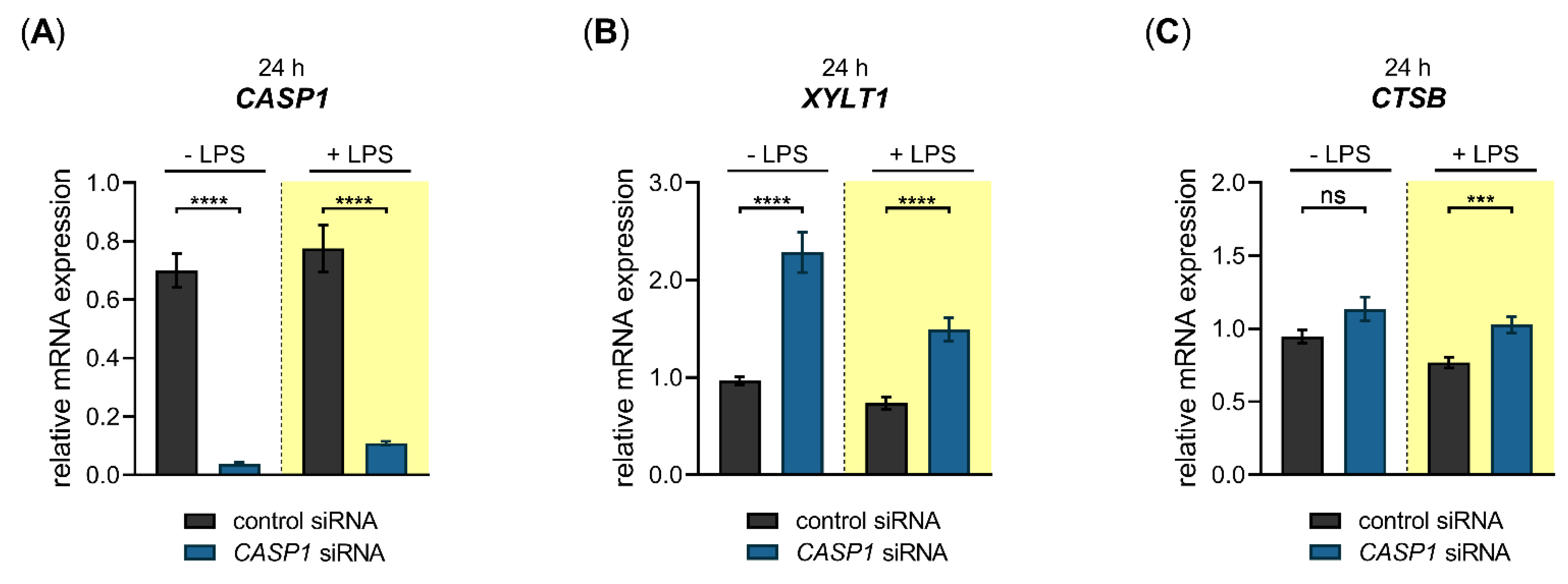 Biomedicines 10 01451 g007