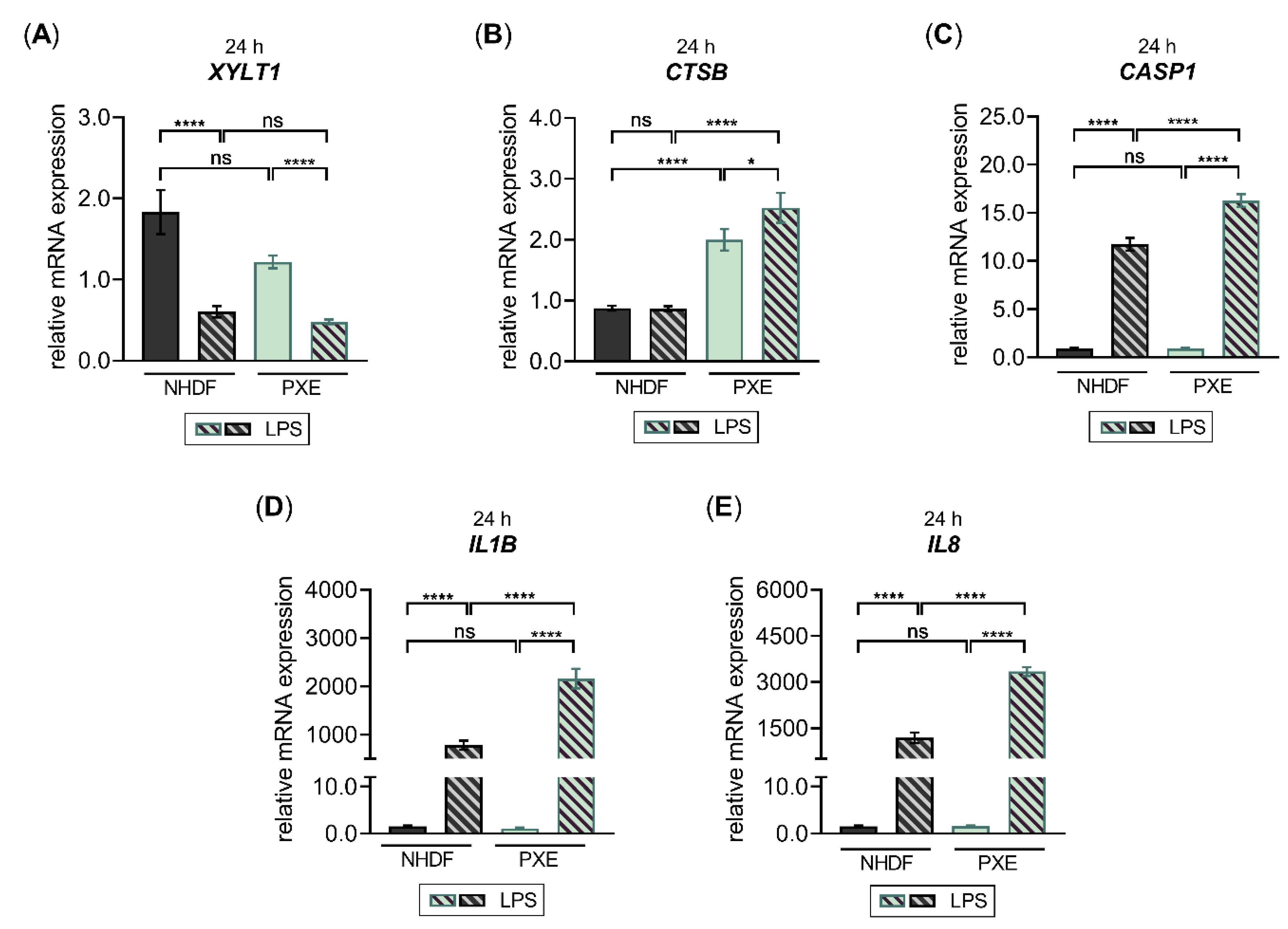 Biomedicines 10 01451 g008