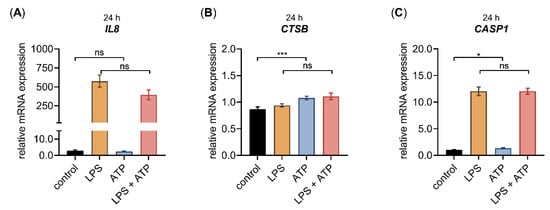 Biomedicines 10 01451 g0a2 Biomedicines 10 01451 g0a2