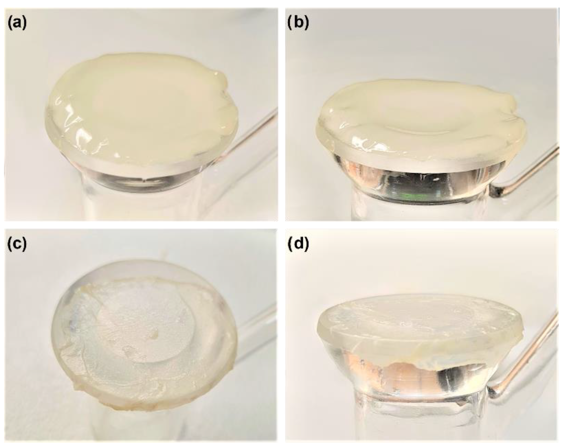 Biomedicines 10 01453 g008