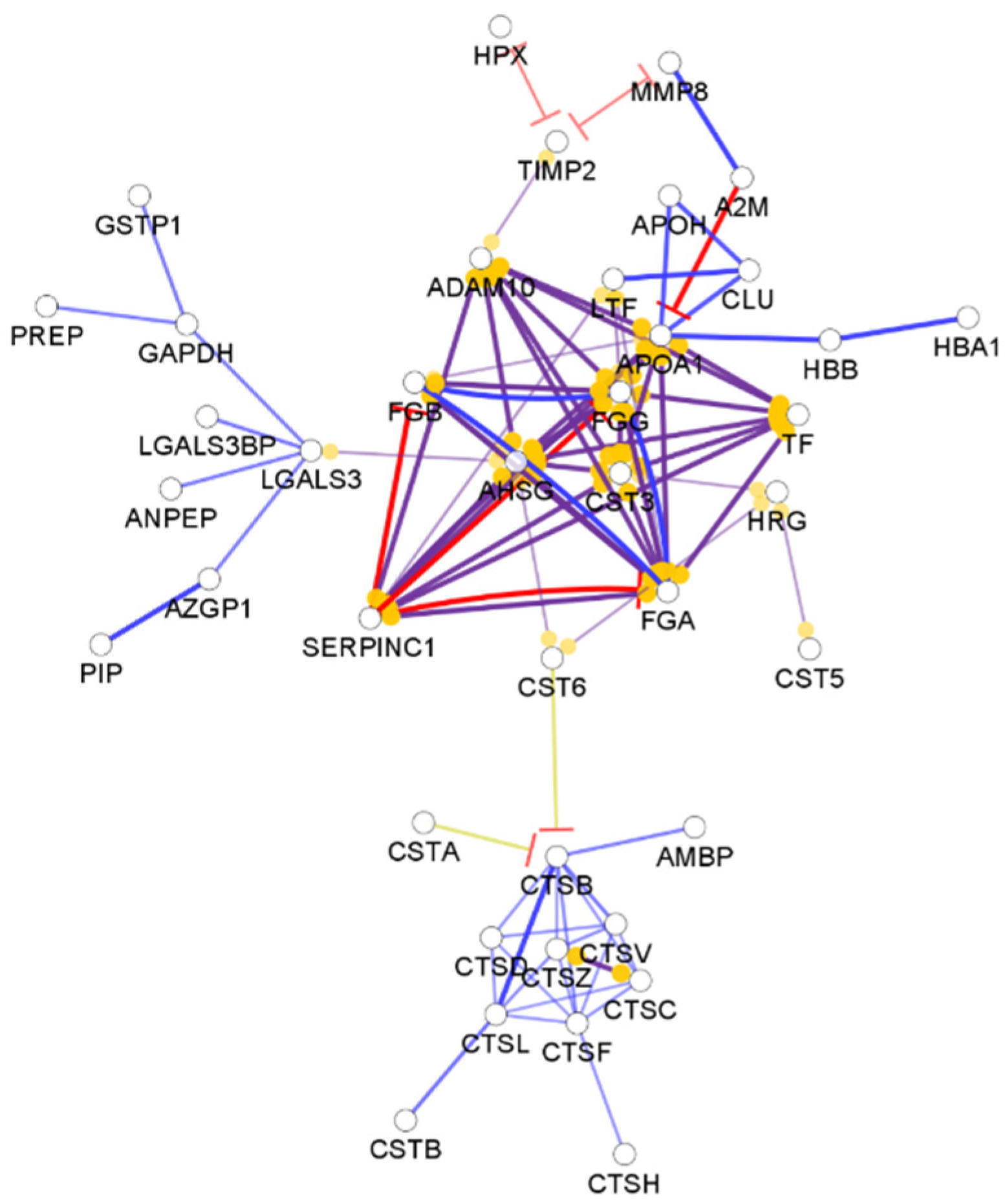 Biomedicines 10 01472 g004 Biomedicines 10 01472 g004