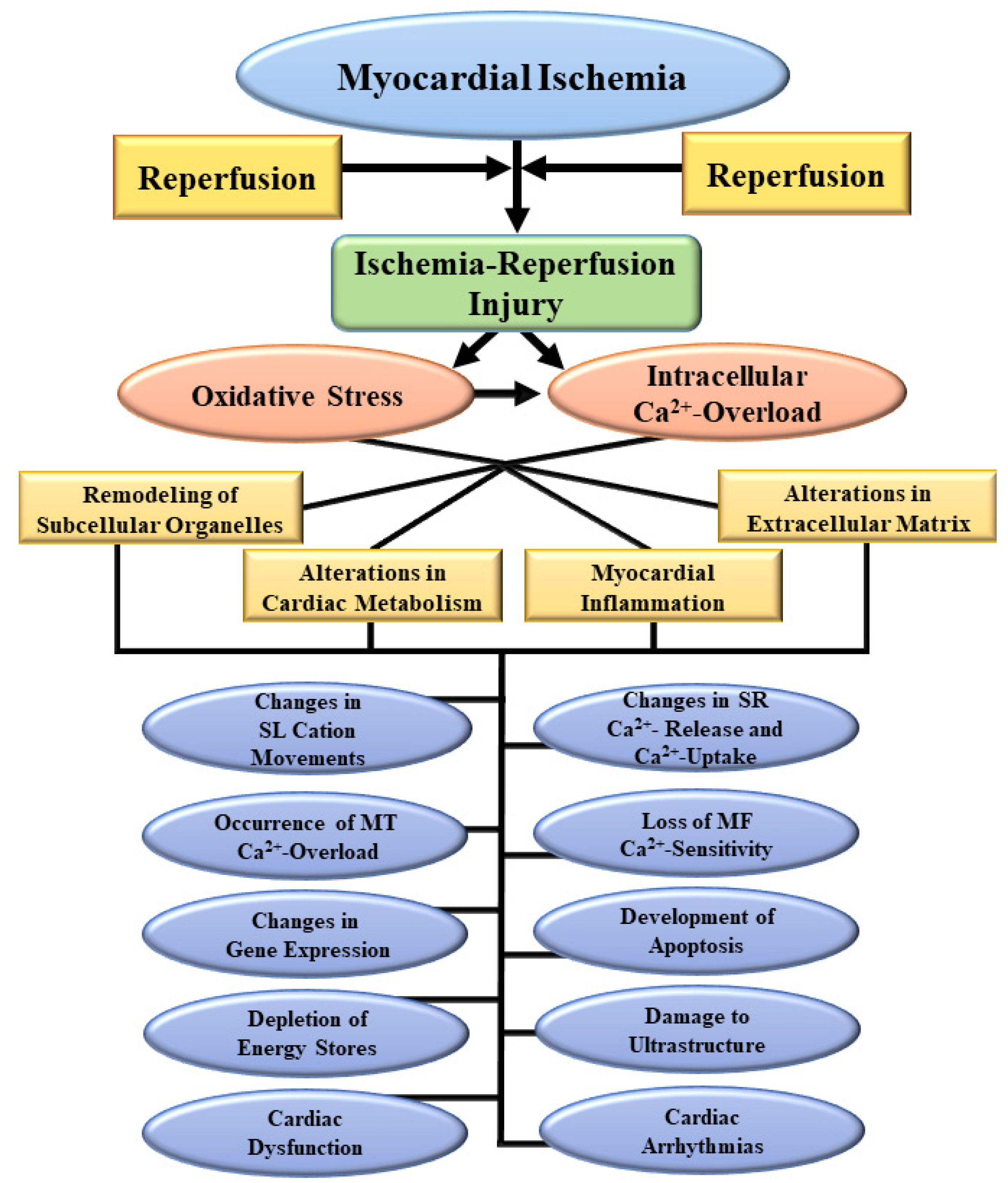 Biomedicines 10 01473 g001 Biomedicines 10 01473 g001