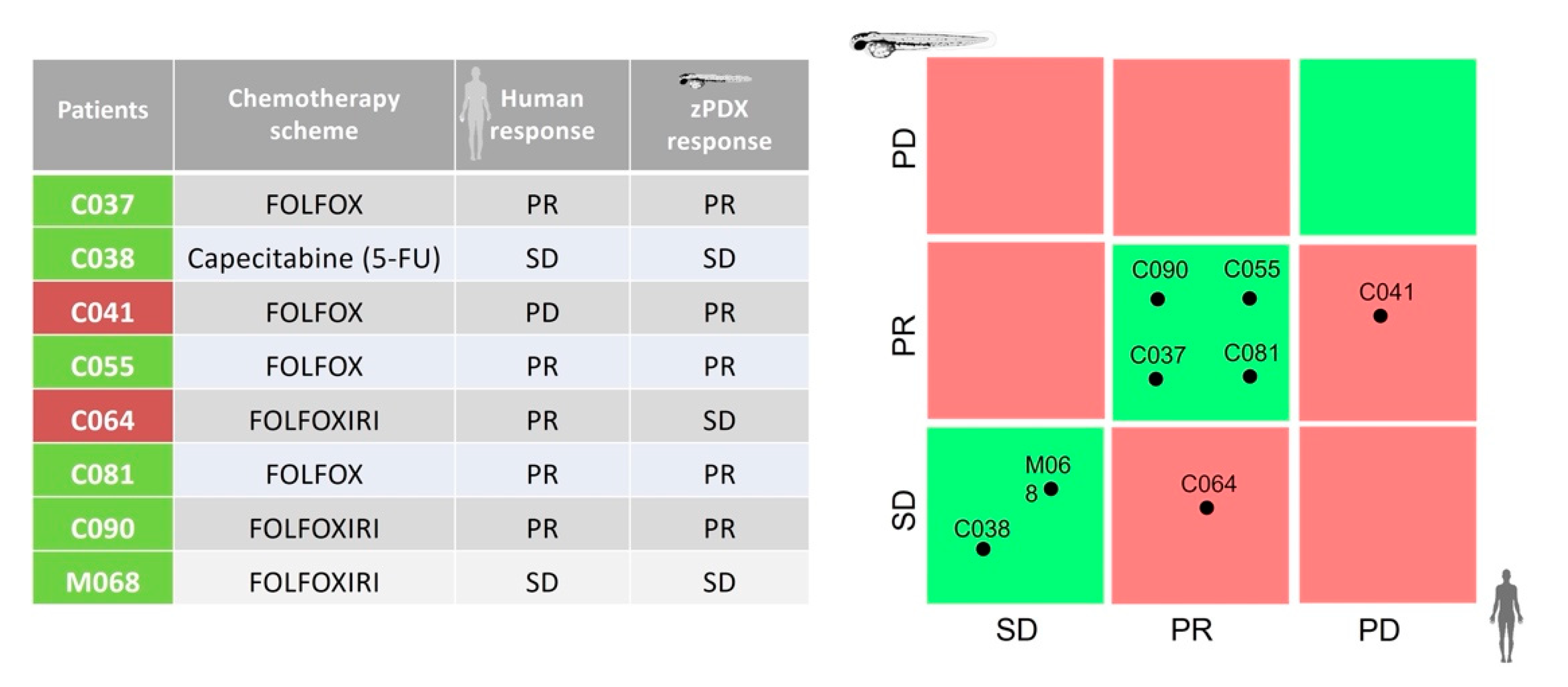 Biomedicines 10 01474 g006