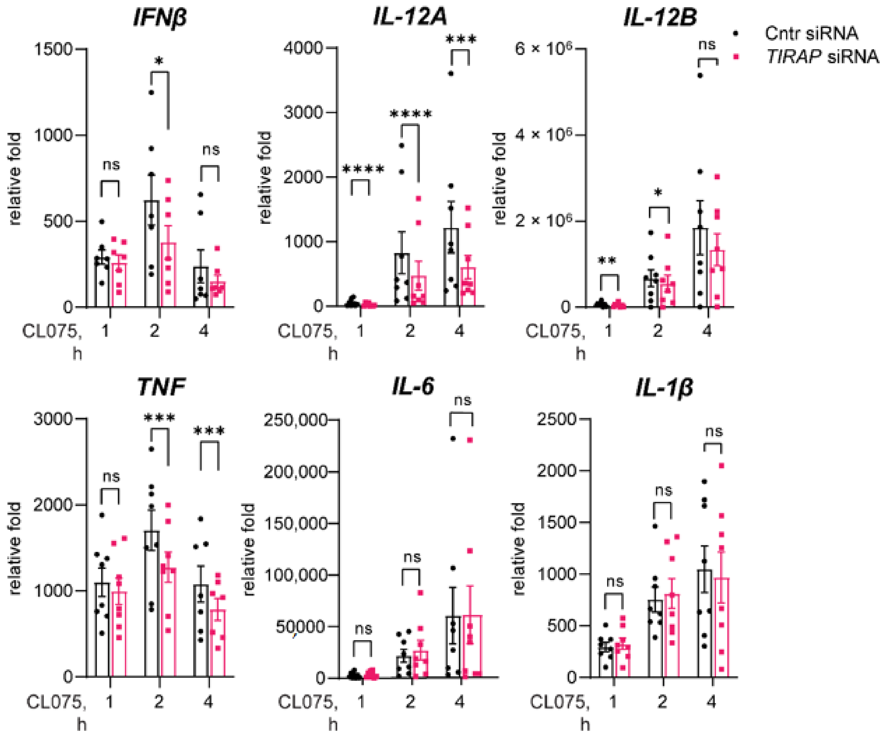 Biomedicines 10 01476 g001