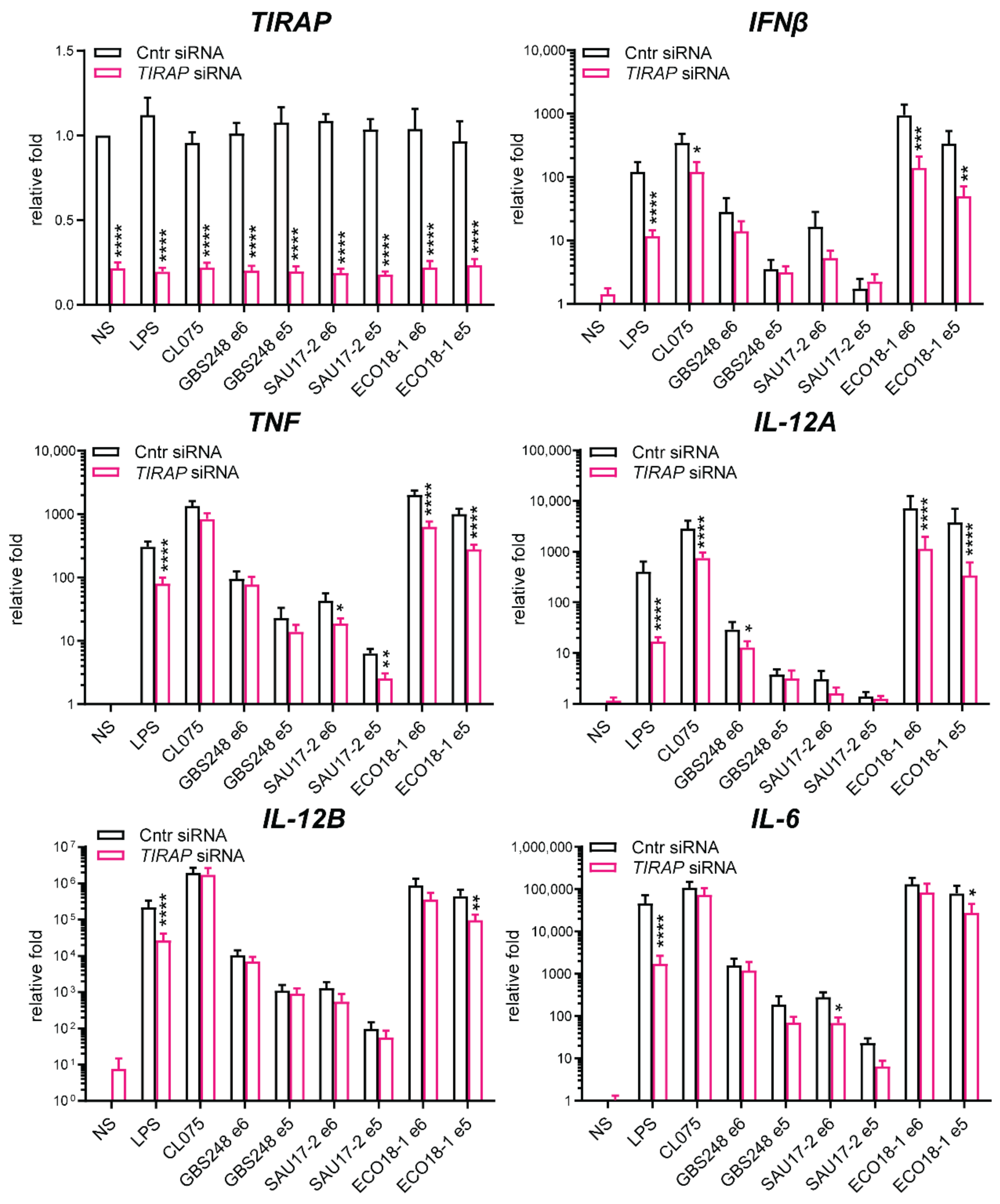 Biomedicines 10 01476 g003
