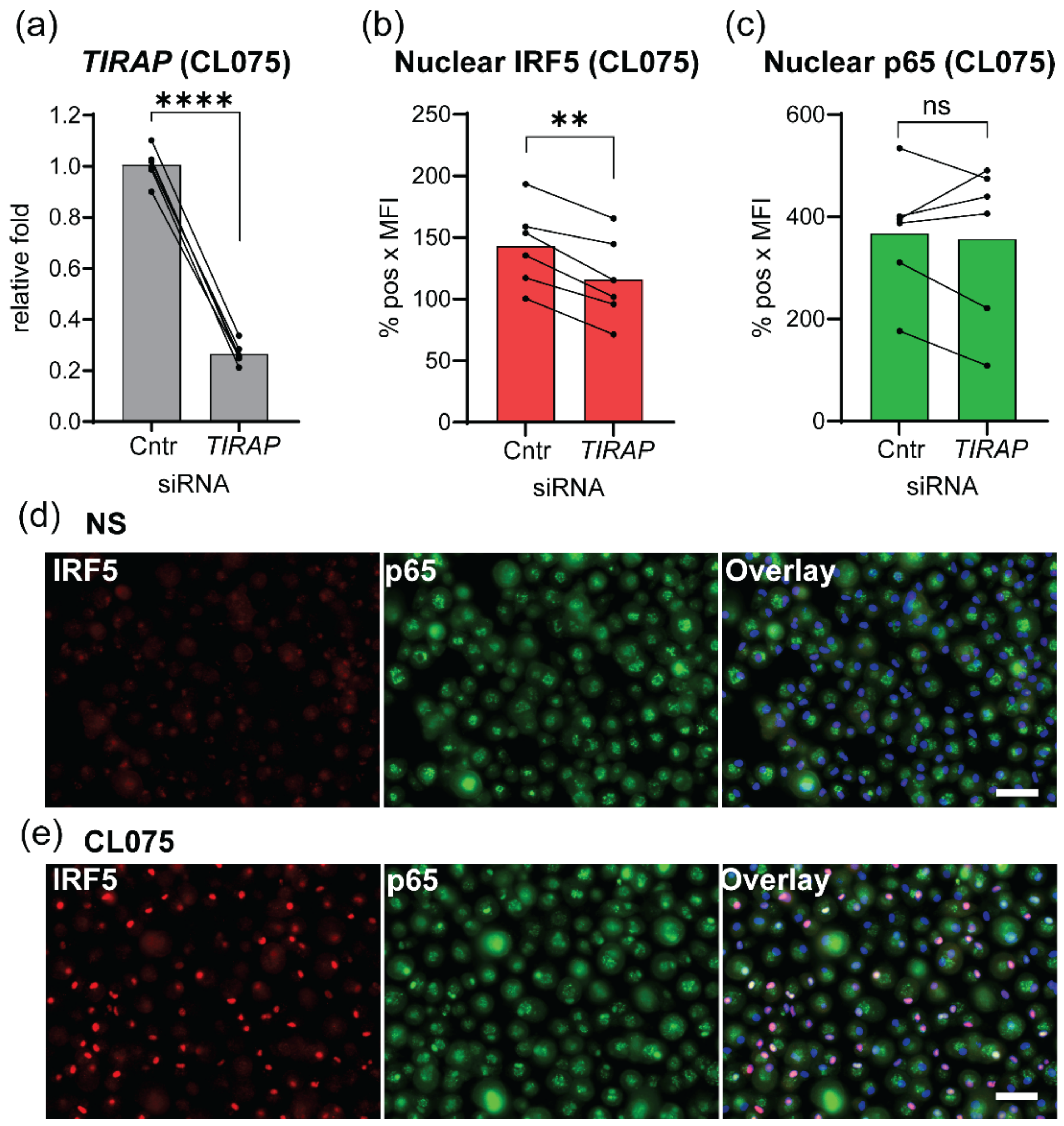 Biomedicines 10 01476 g004
