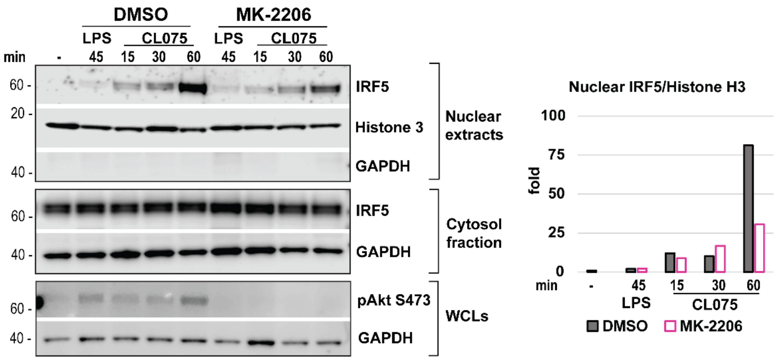 Biomedicines 10 01476 g008