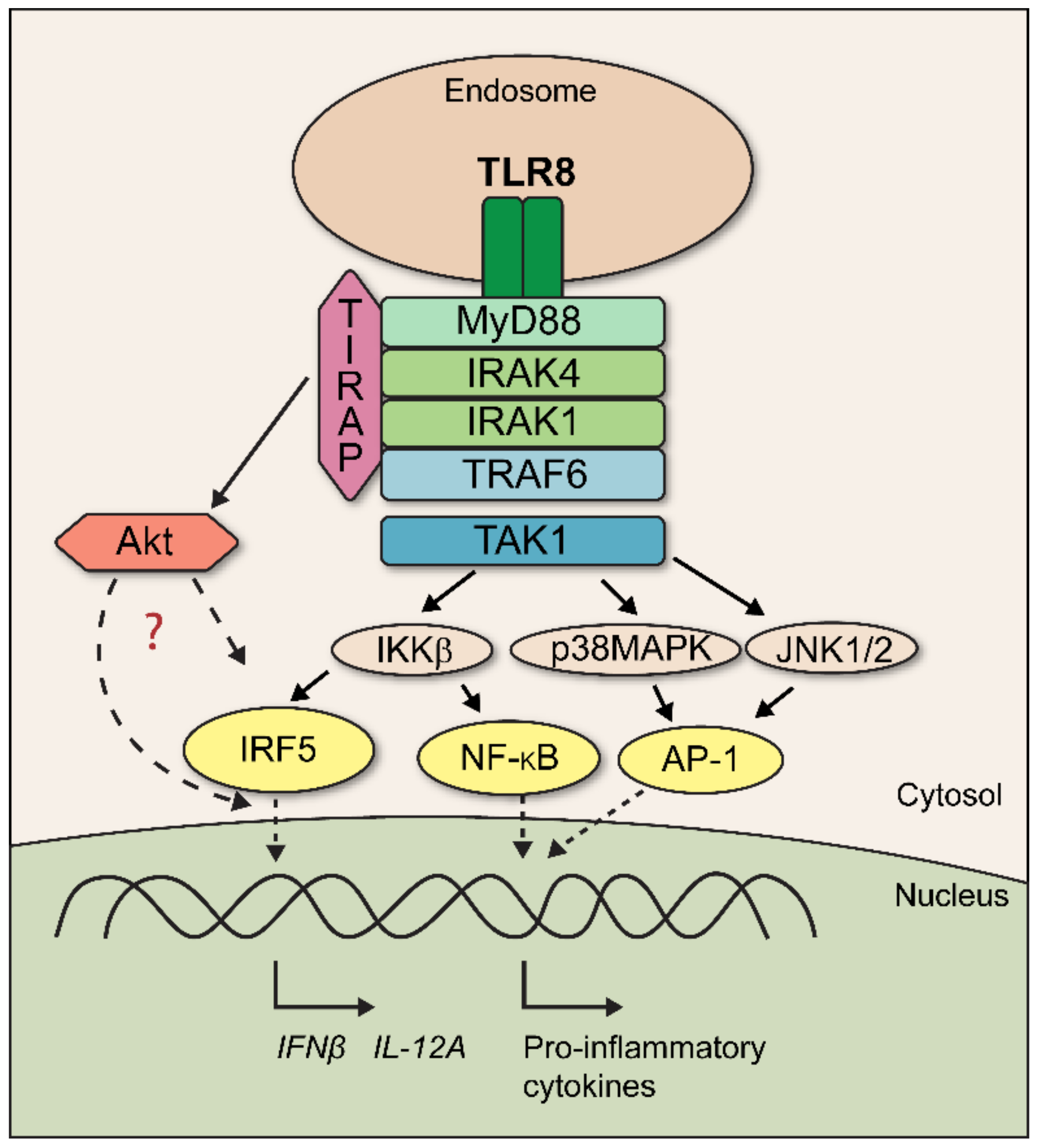 Biomedicines 10 01476 g009