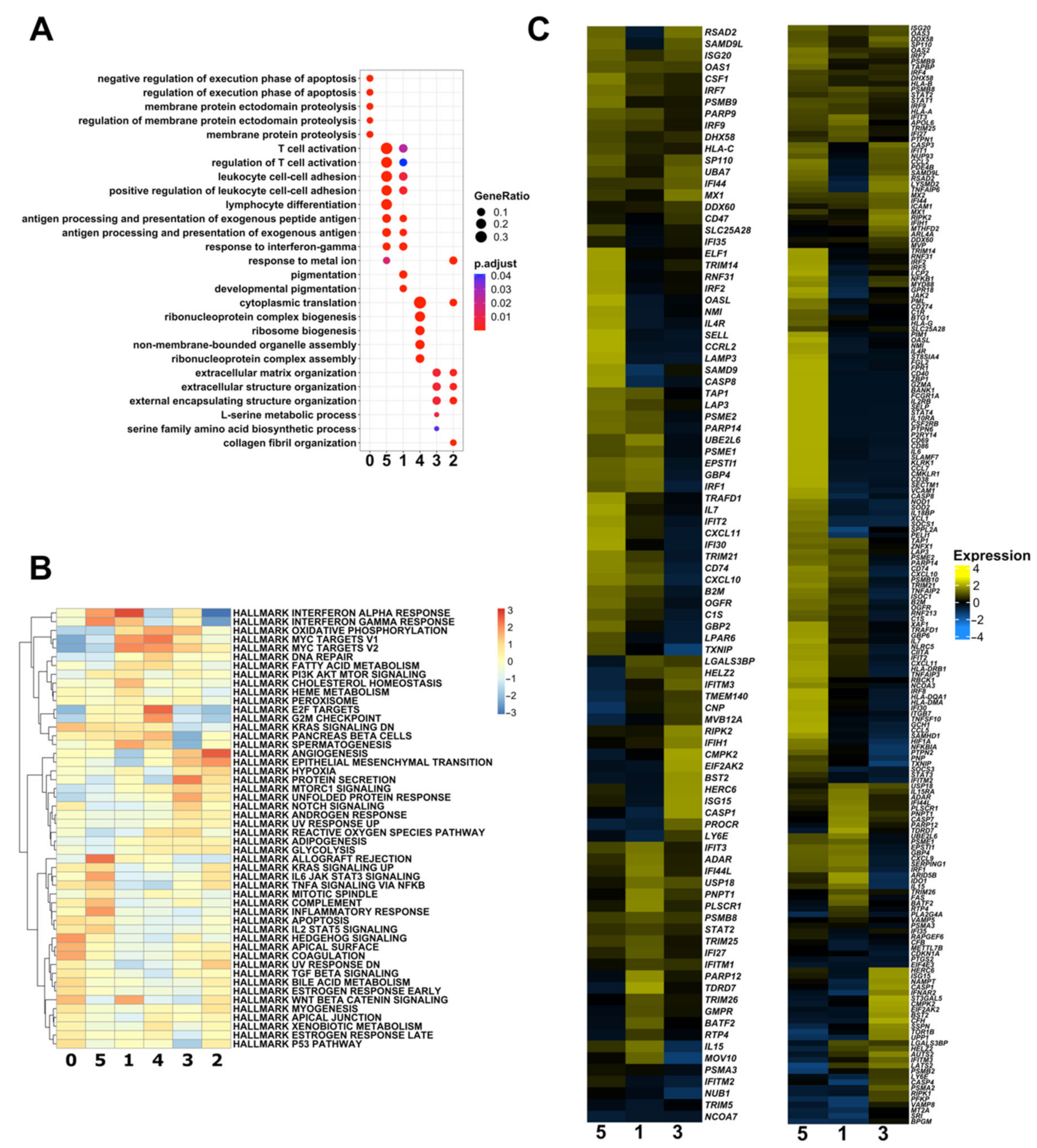 Biomedicines 10 01478 g002