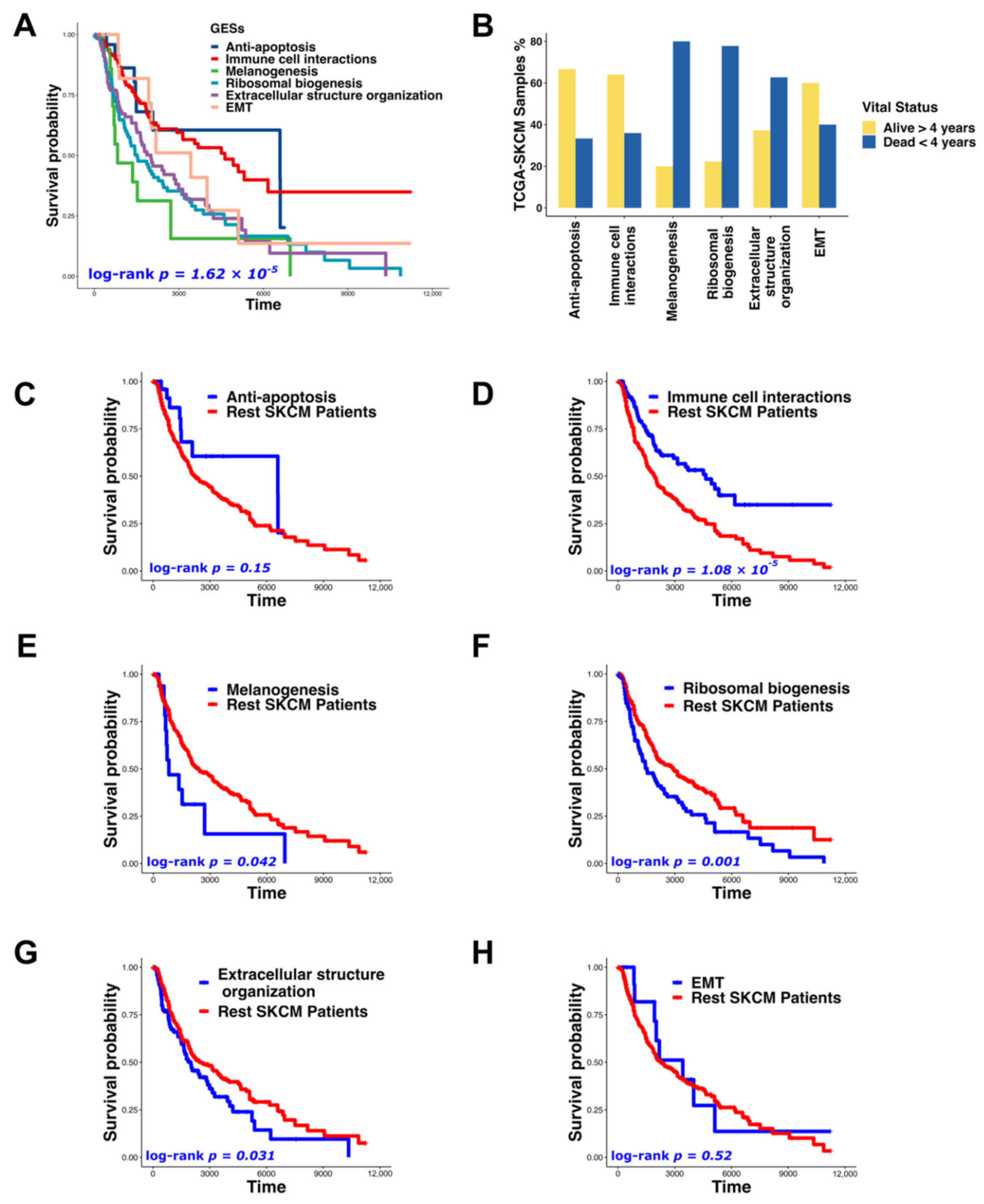 Biomedicines 10 01478 g006