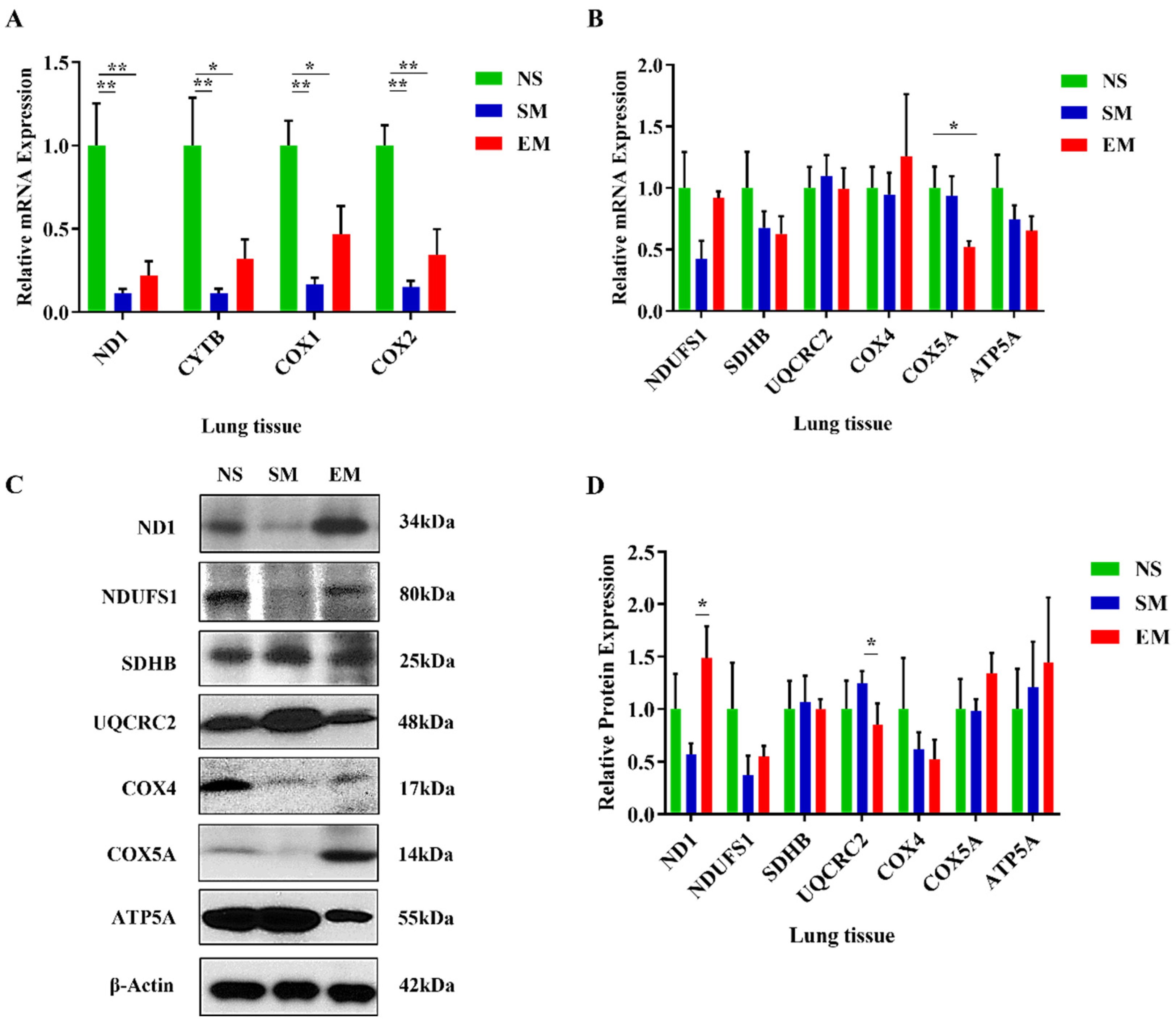 Biomedicines 10 01497 g001 Biomedicines 10 01497 g001
