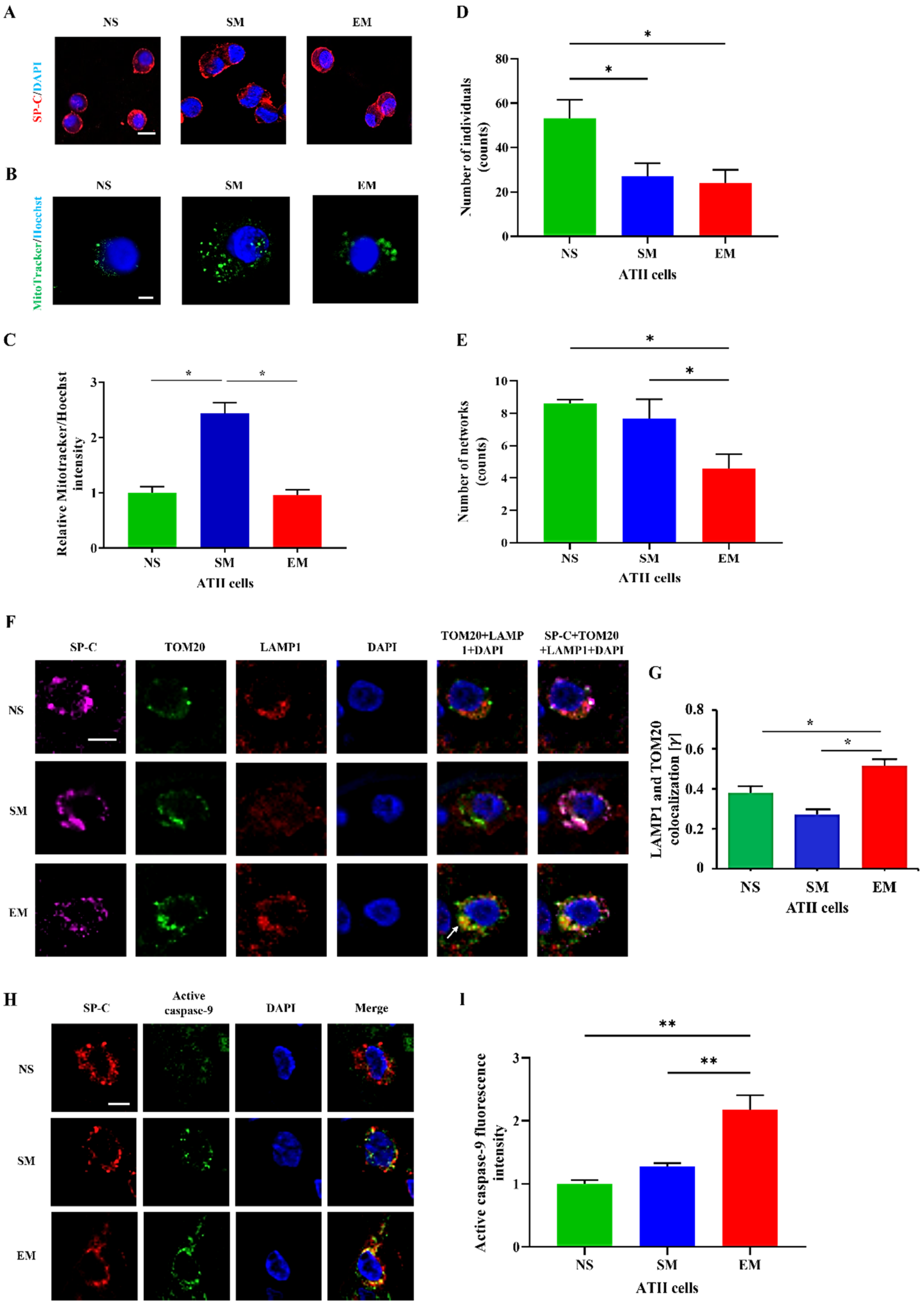 Biomedicines 10 01497 g002 Biomedicines 10 01497 g002