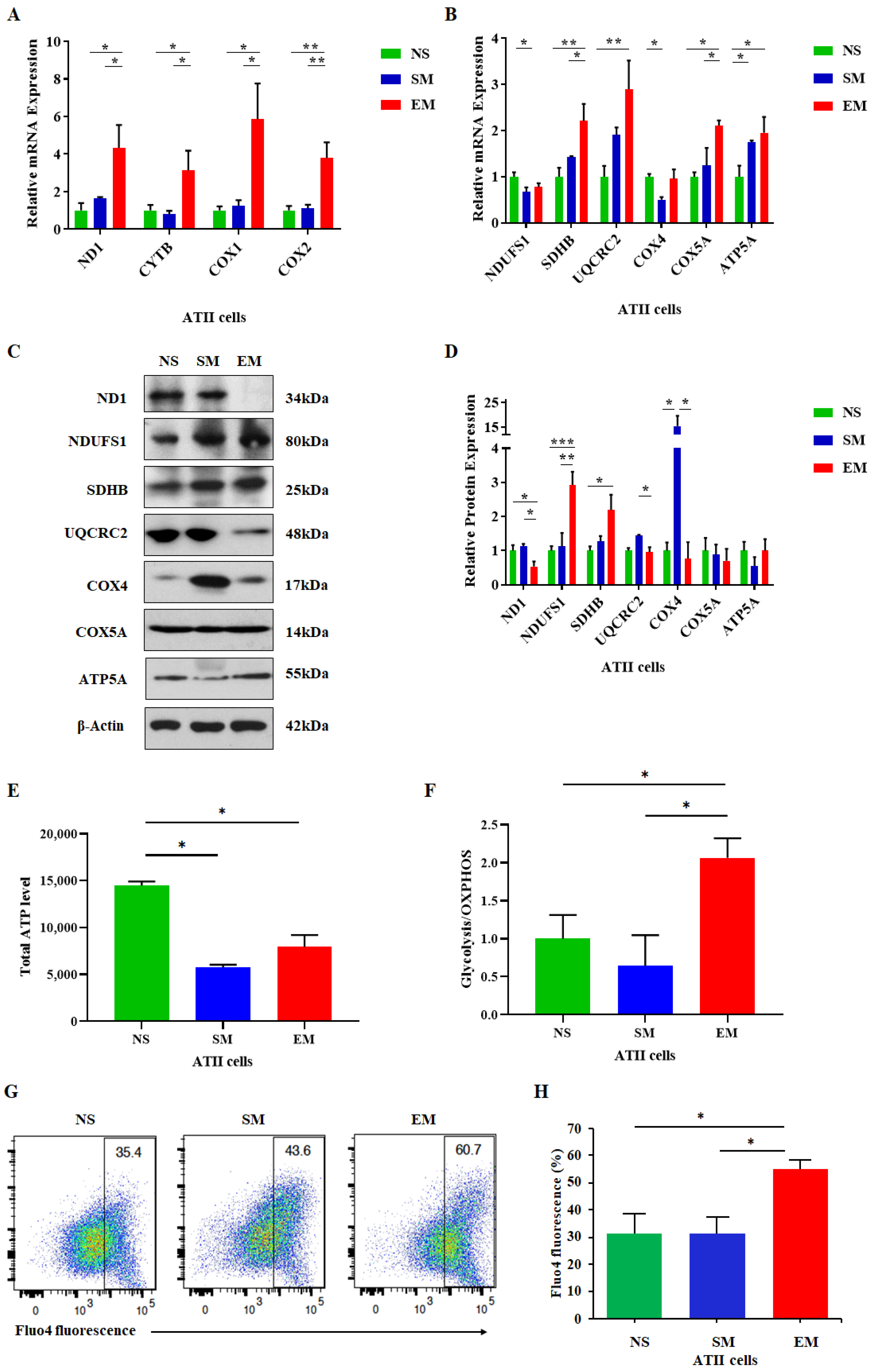 Biomedicines 10 01497 g003 Biomedicines 10 01497 g003