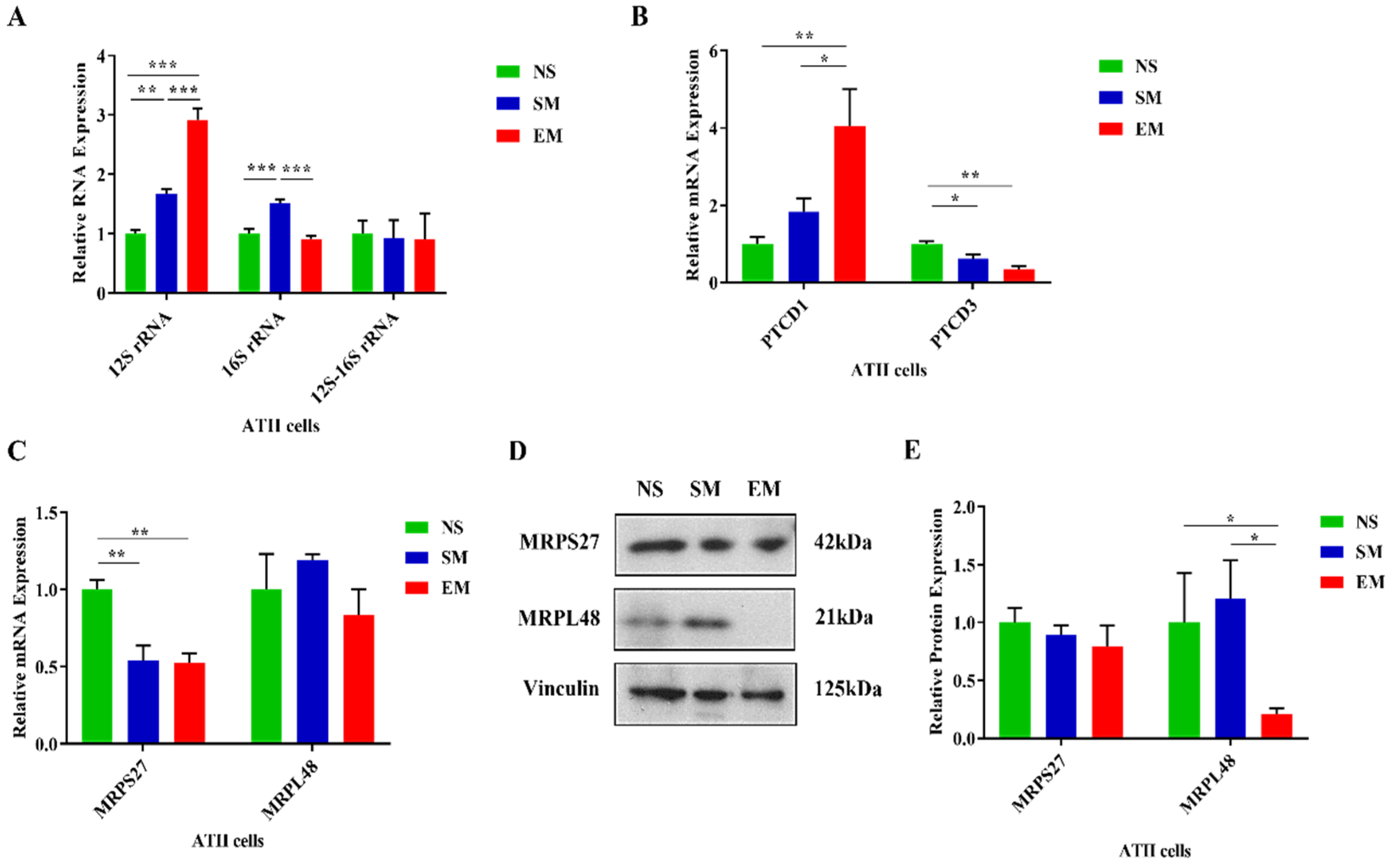 Biomedicines 10 01497 g004 Biomedicines 10 01497 g004