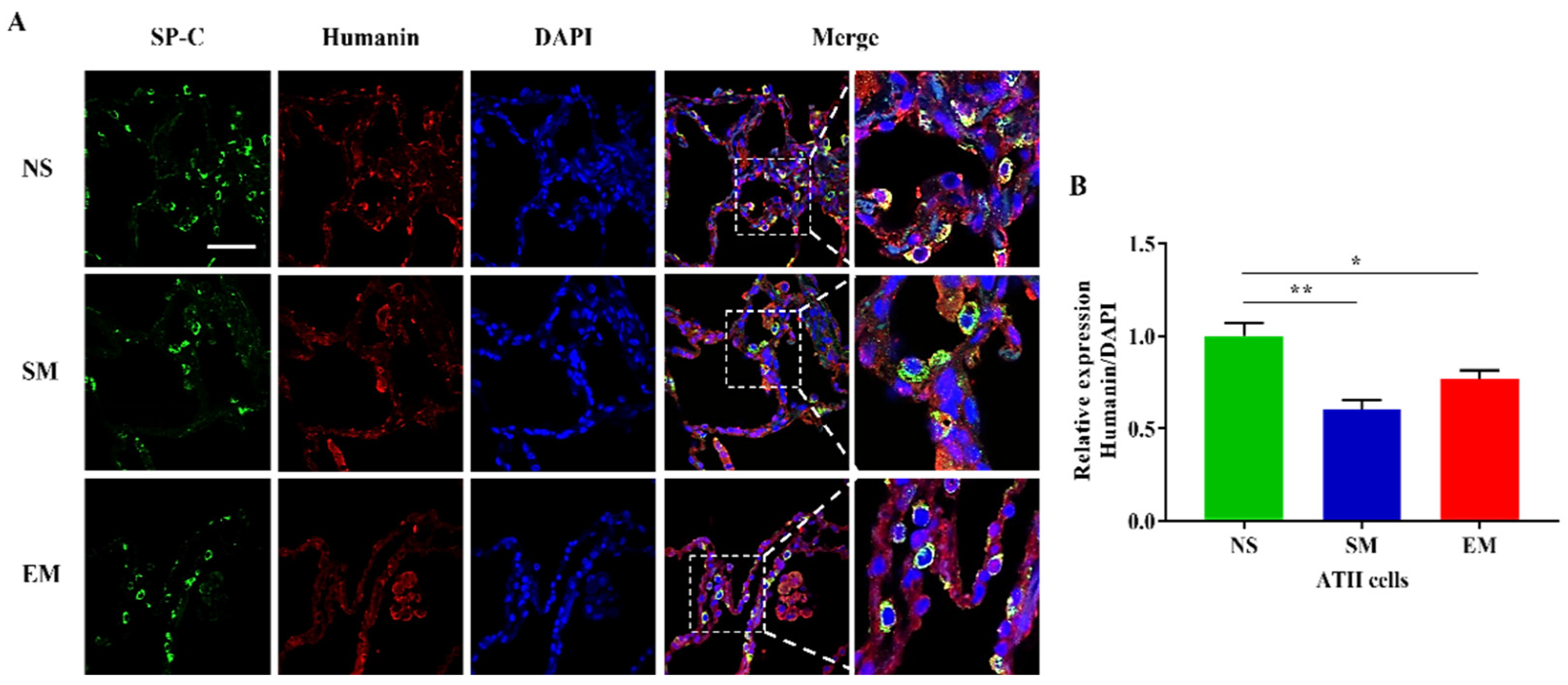 Biomedicines 10 01497 g005 Biomedicines 10 01497 g005