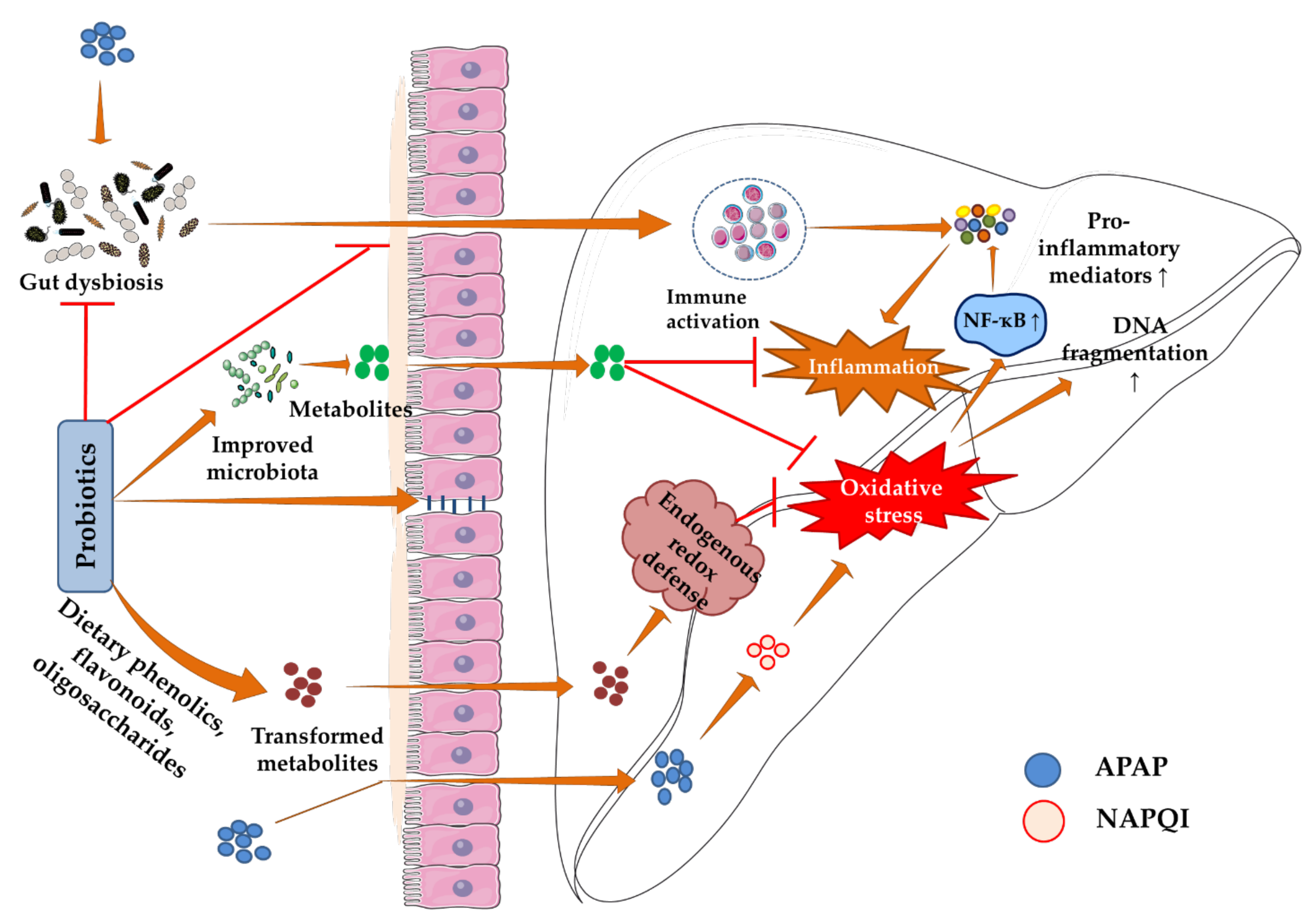 Biomedicines 10 01498 g003 Biomedicines 10 01498 g003