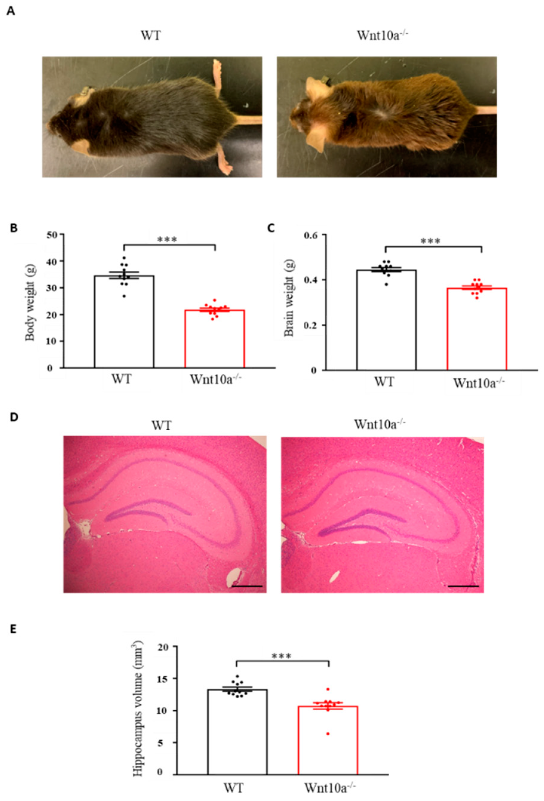 Biomedicines 10 01500 g001
