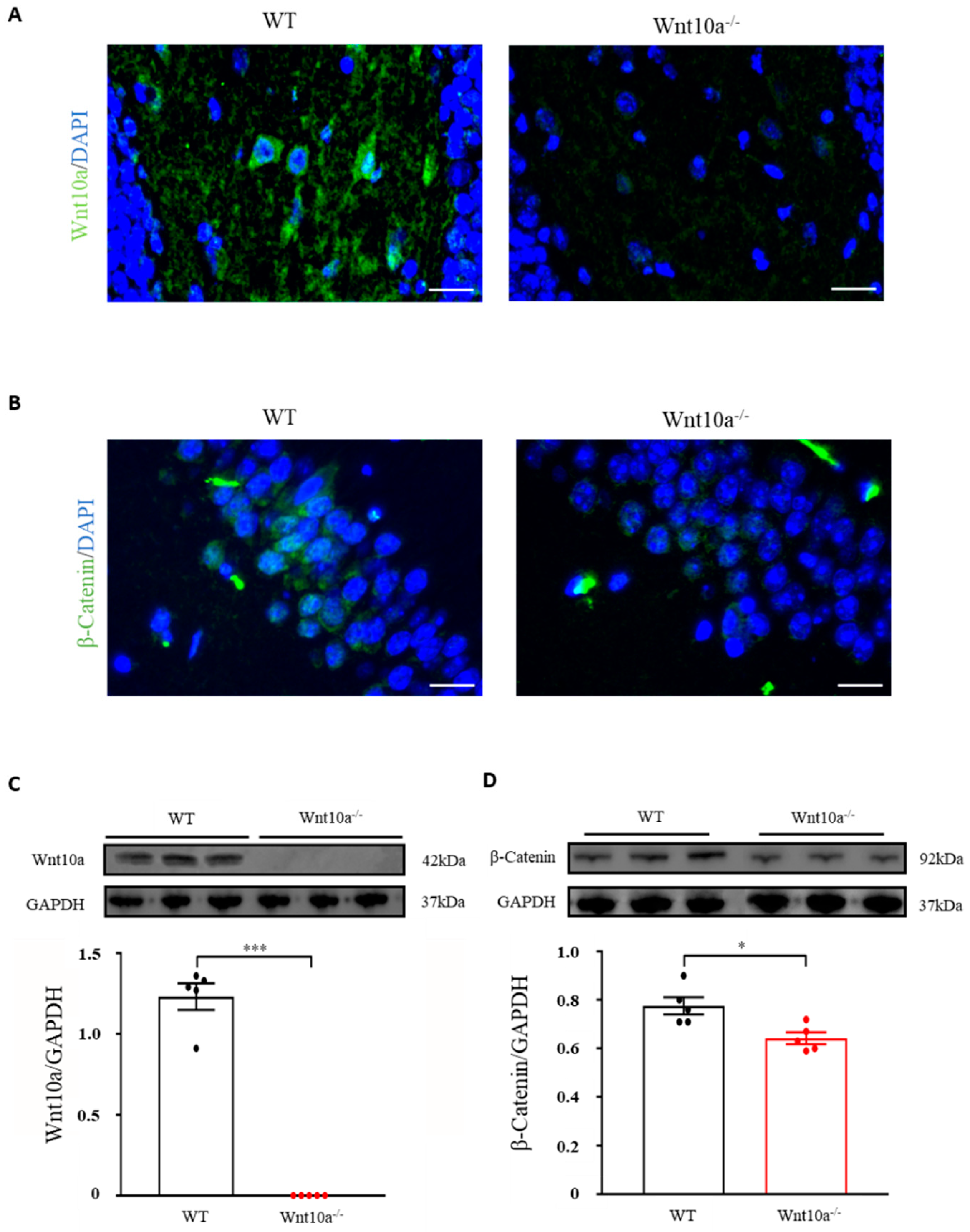 Biomedicines 10 01500 g003